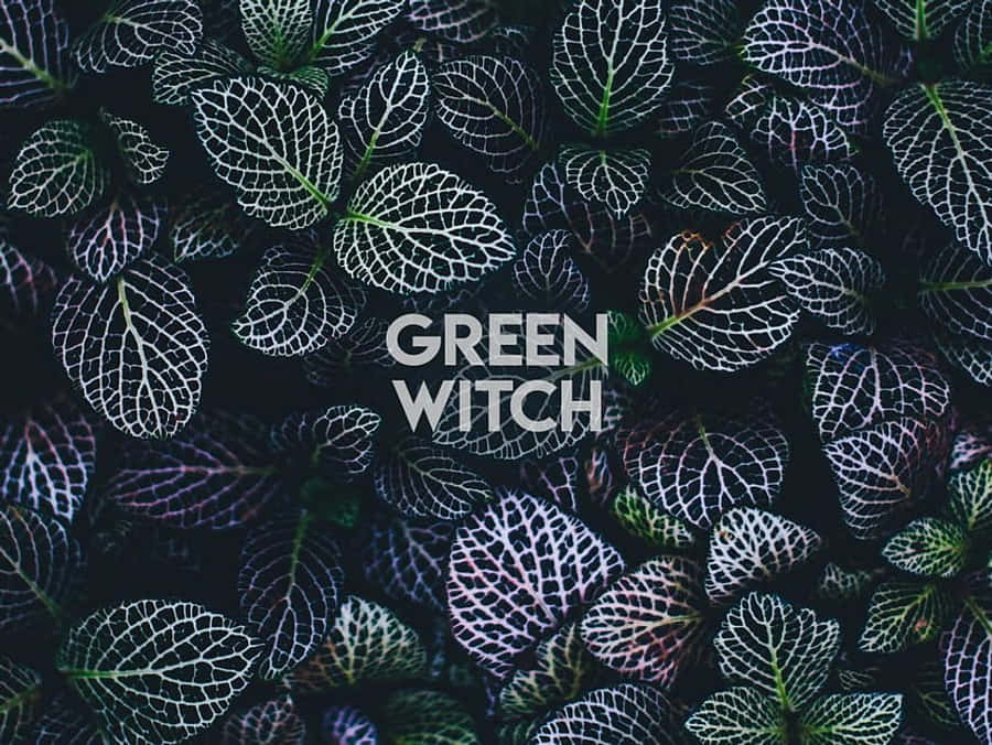 Witchy Desktop 桌布 壁紙 — 深綠色葉子的特寫，帶有複雜的白色葉脈，黑色背景上有粗體文字。