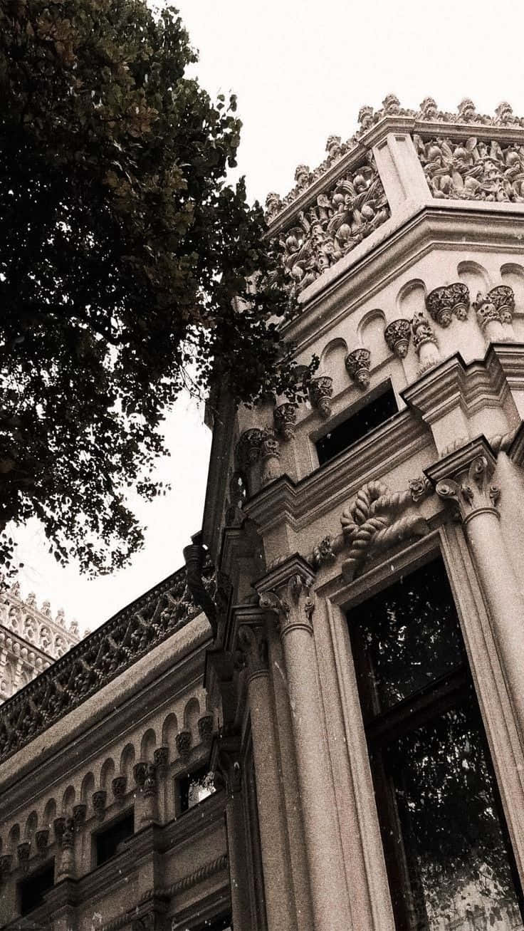 深色學院風背景 — 暗黑學院風 壁紙
