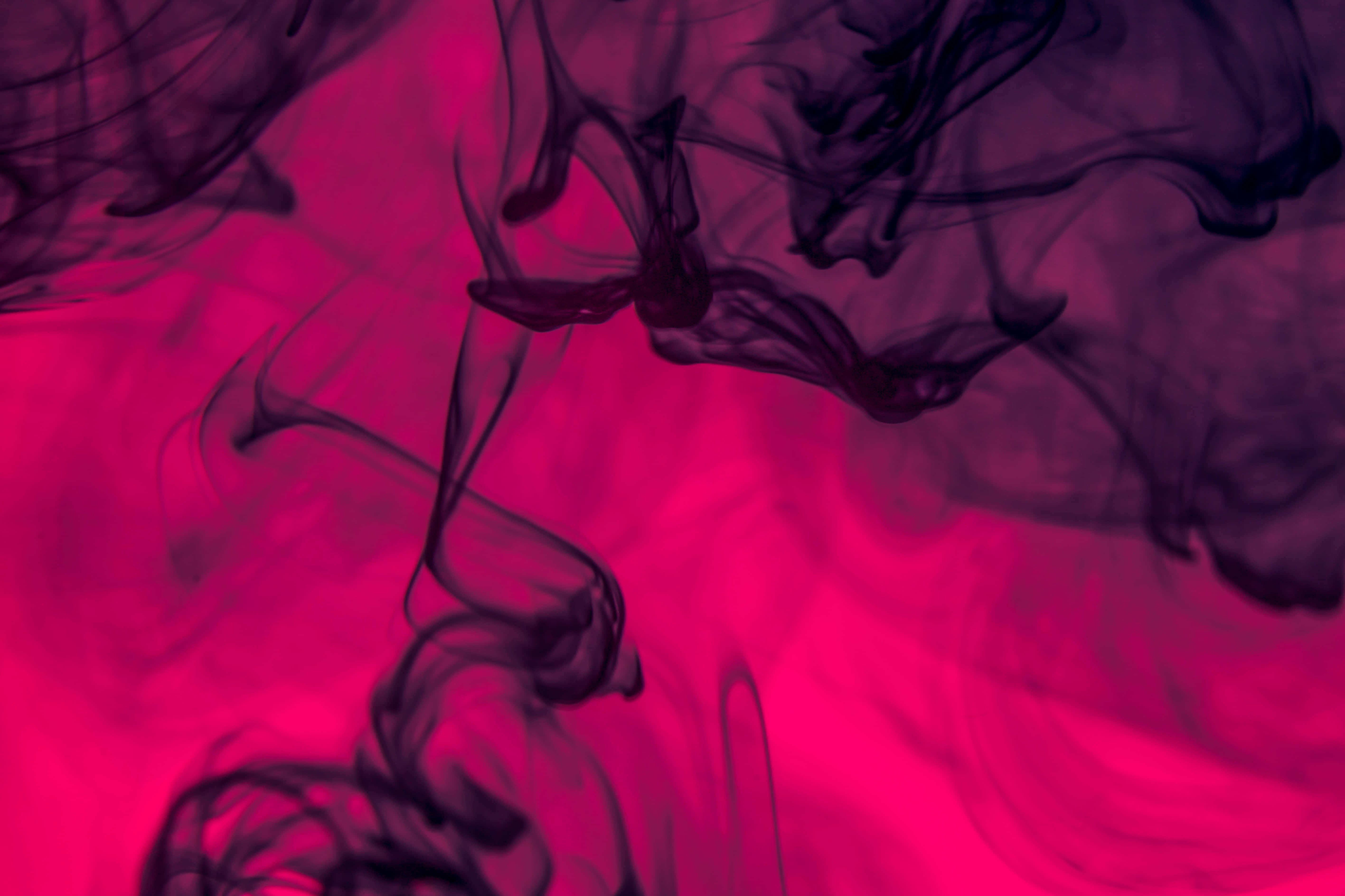 Contrast 桌布 壁紙 — 深色旋轉煙霧在鮮豔的洋紅色背景上優雅飄動，營造出抽象且富有情緒的視覺效果。
