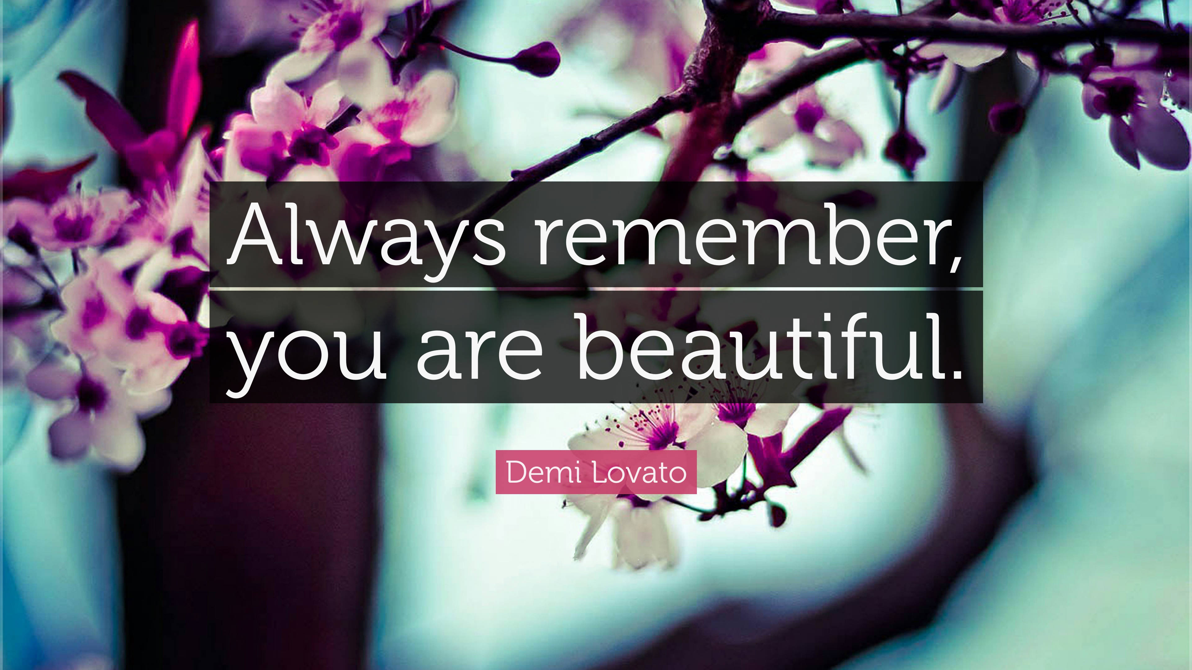You Are Beautiful 桌布 壁紙 — 深色樹枝上柔和的紫色和白色花朵，帶有勵志語句疊加在模糊背景上。