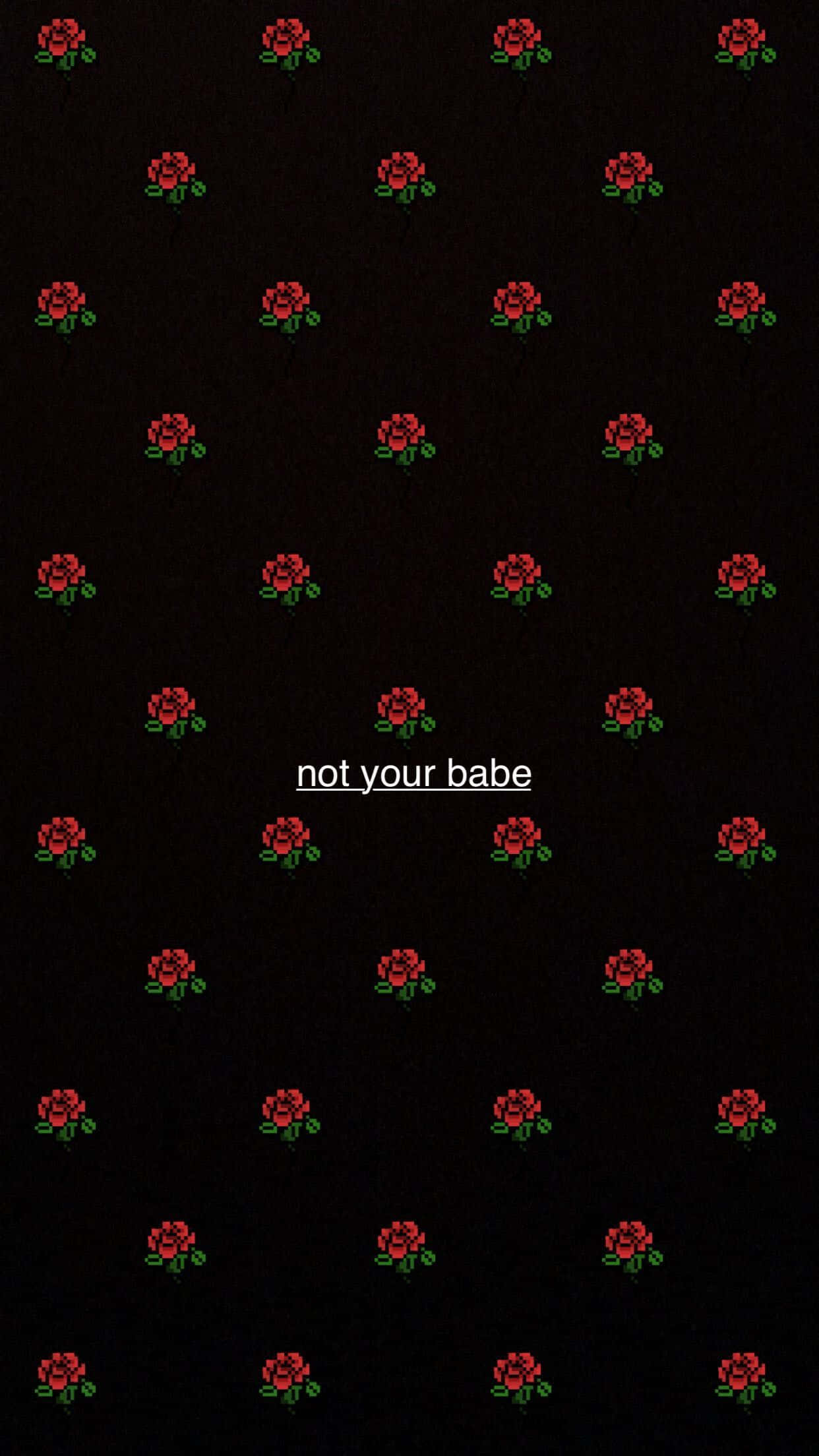 桌布 壁紙 — 深色背景，帶有像素化紅玫瑰圖案，白色文字 not your babe 居中。