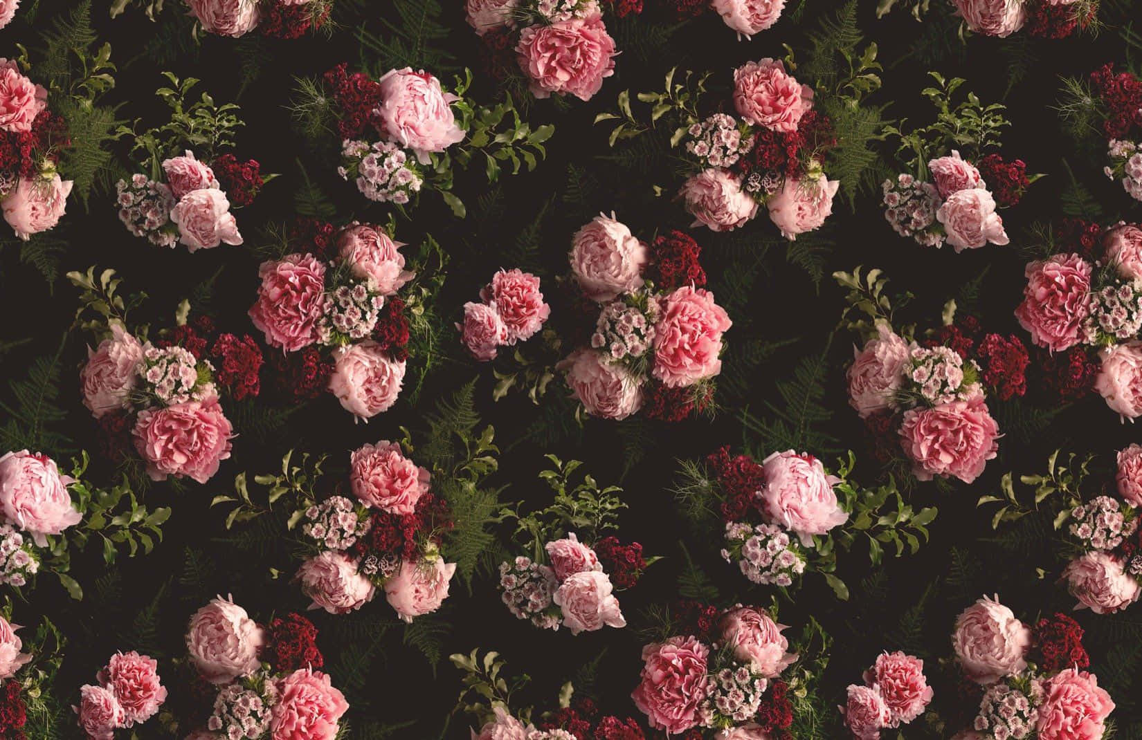 Rose Pattern 桌布 壁紙 — 深色背景上帶有粉紅玫瑰和深紅色花朵的豐盛花卉壁紙。