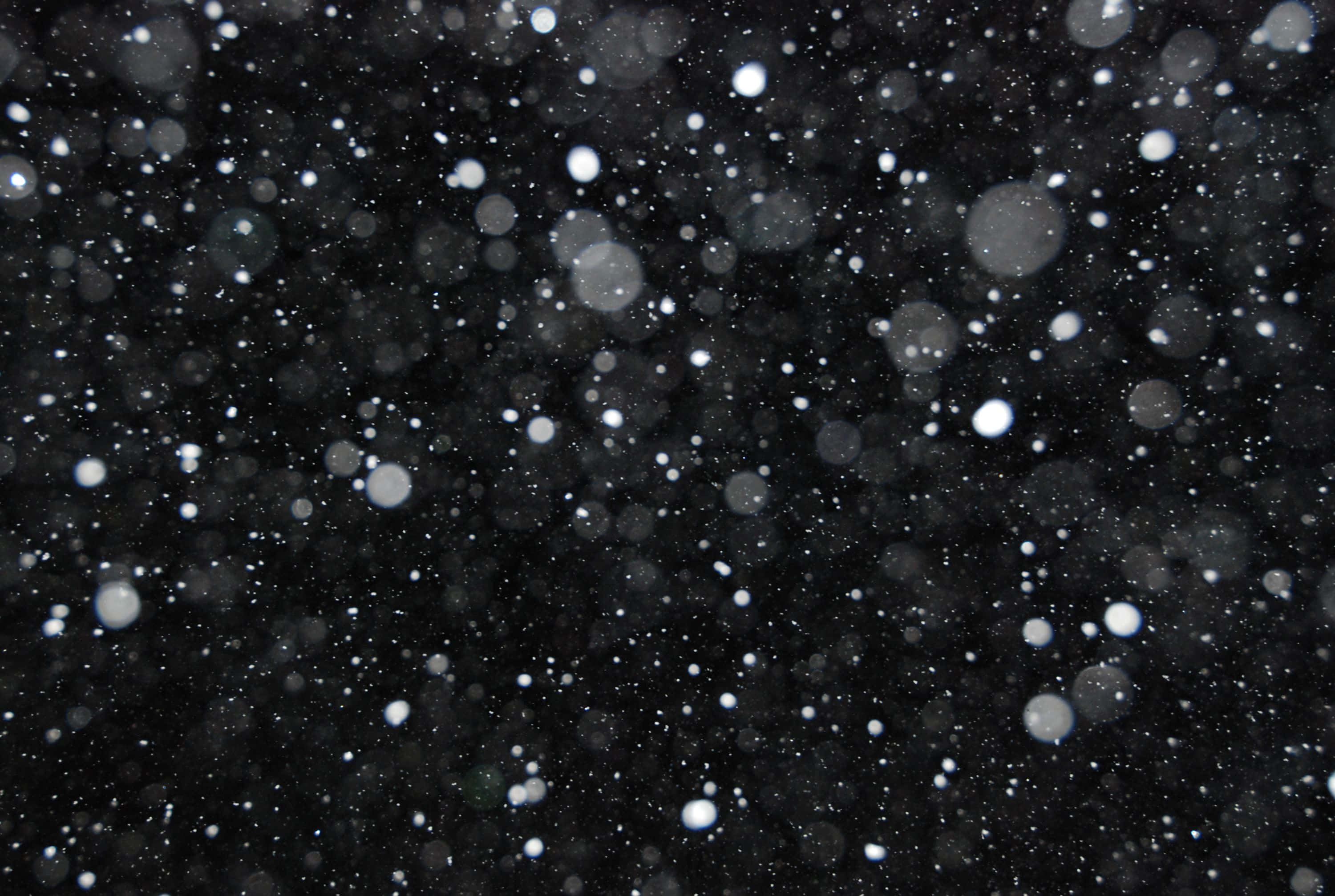 雪 桌布 壁紙 — 深色背景上點綴著柔和發光的白色散景光點，宛如飄落的雪花或遙遠的星星。