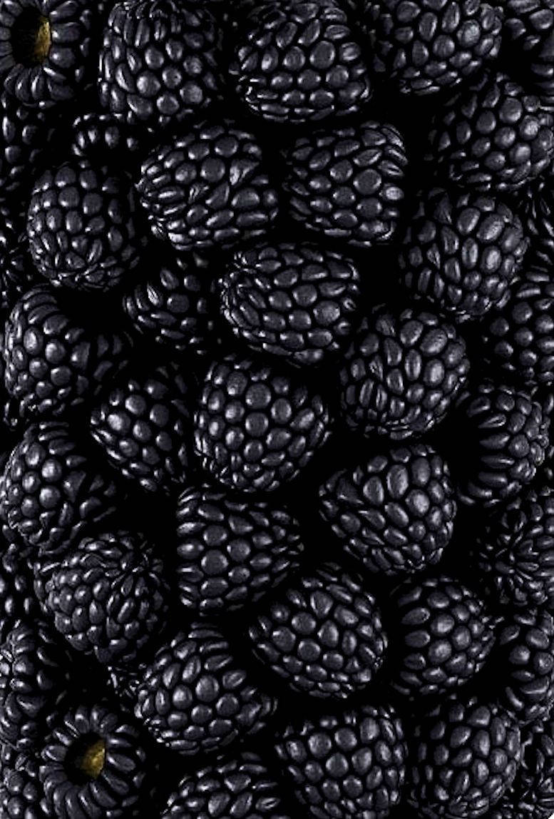 Berry 桌布 壁紙 — 深色背景下，帶有細小黃色莖的光澤黑莓特寫。