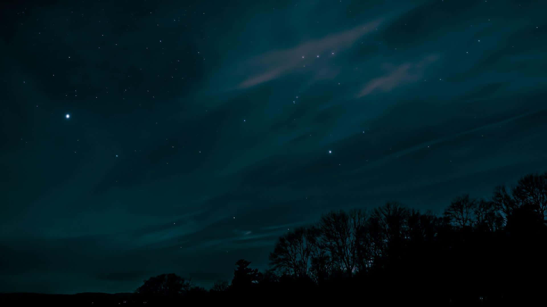 桌布 壁紙 — 深藍綠色和黑色調中，星空夜空帶有微弱極光和下方樹木剪影。