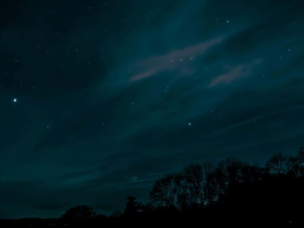 Starry Sky 桌布 壁紙 — 深藍綠色雲層下，星空夜景中帶有微弱極光和樹木剪影。