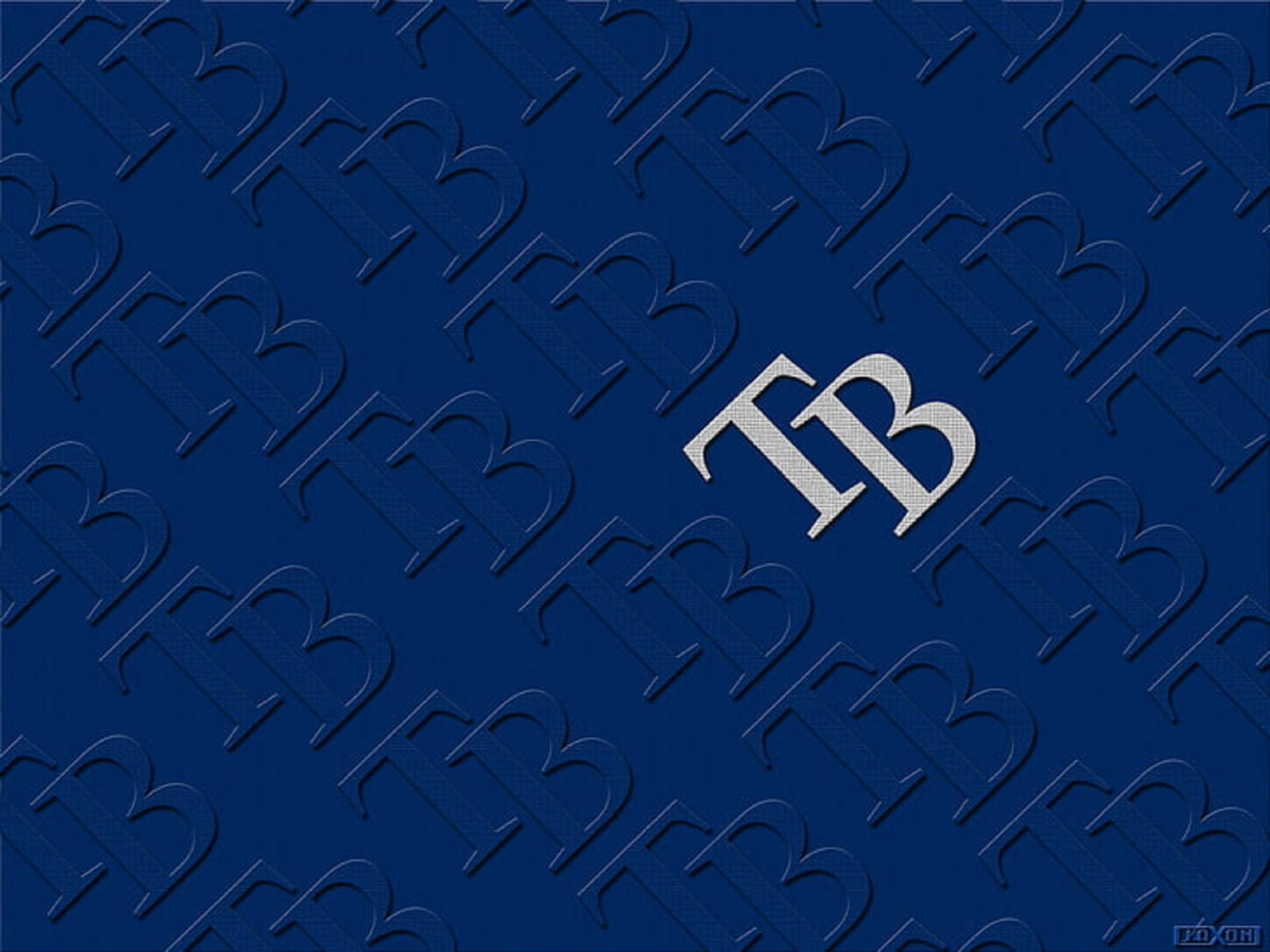 Rays 桌布 壁紙 — 深藍色壁紙，帶有壓花重複的「B」圖案和中央金屬「TB」標誌。