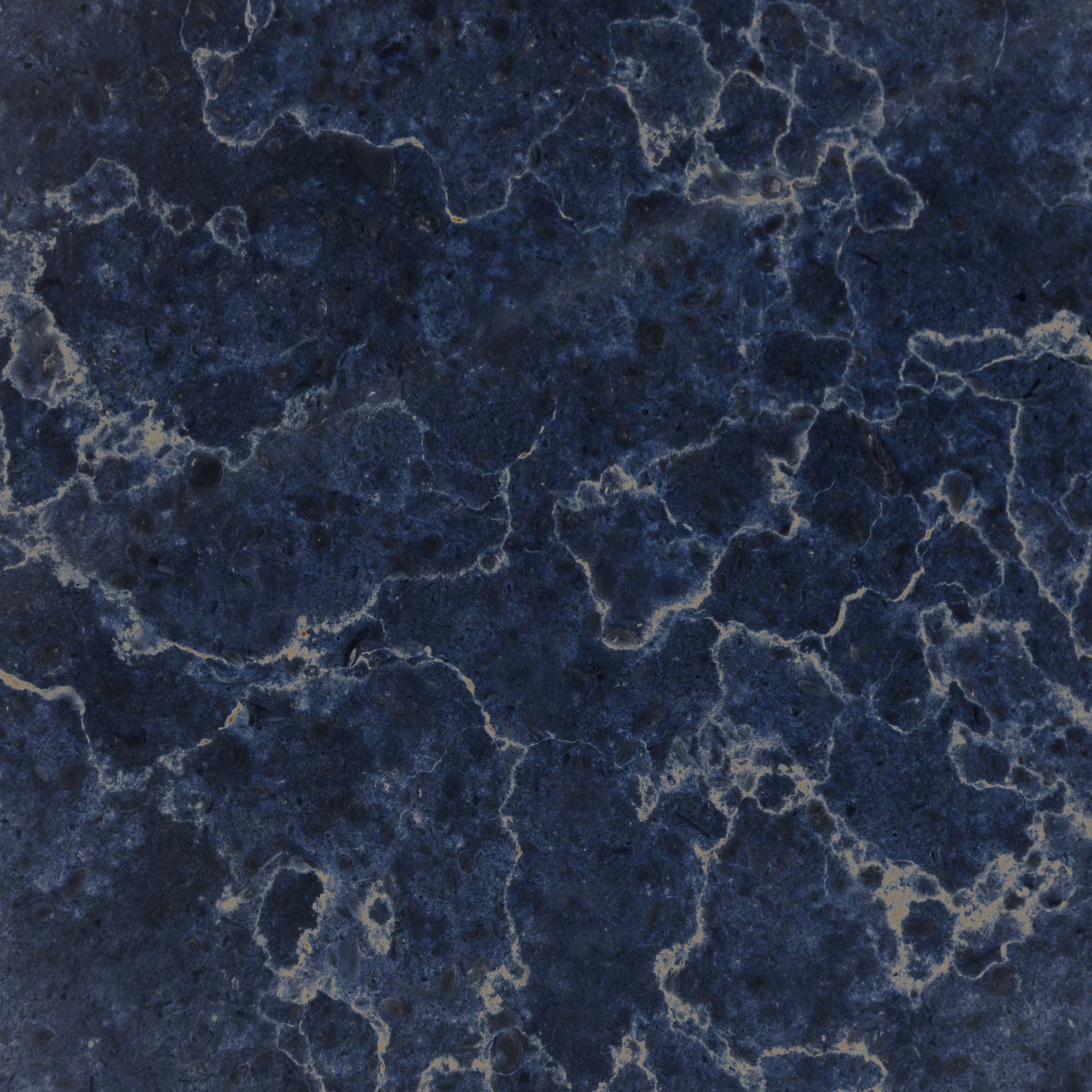 Marble Desktop 桌布 壁紙 — 深藍色大理石的近距離特寫，帶有複雜的金色紋理和深色斑點，營造出奢華的自然圖案。
