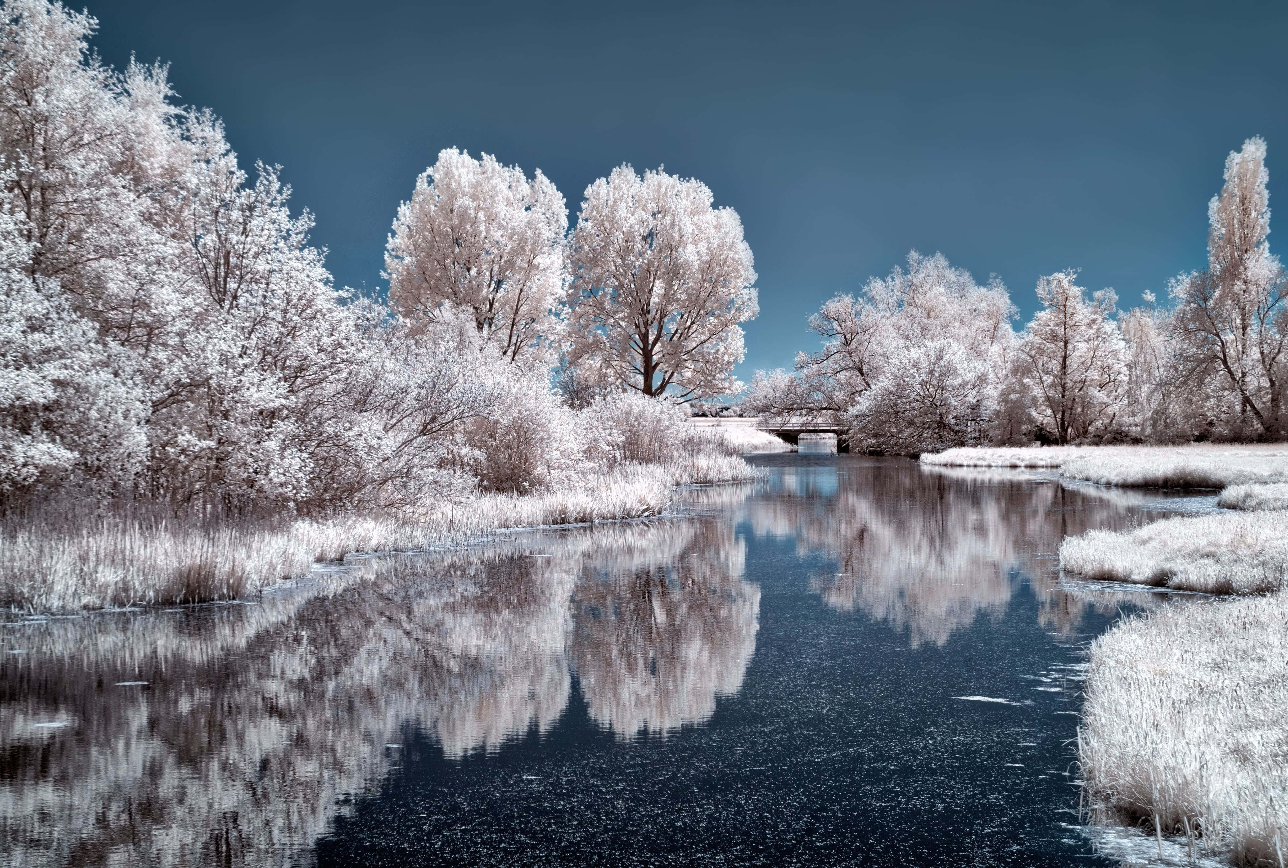 Frozen Lake 桌布 壁紙 — 深藍色天空下，黑暗河流中倒映著覆霜樹木的紅外線冬季場景。