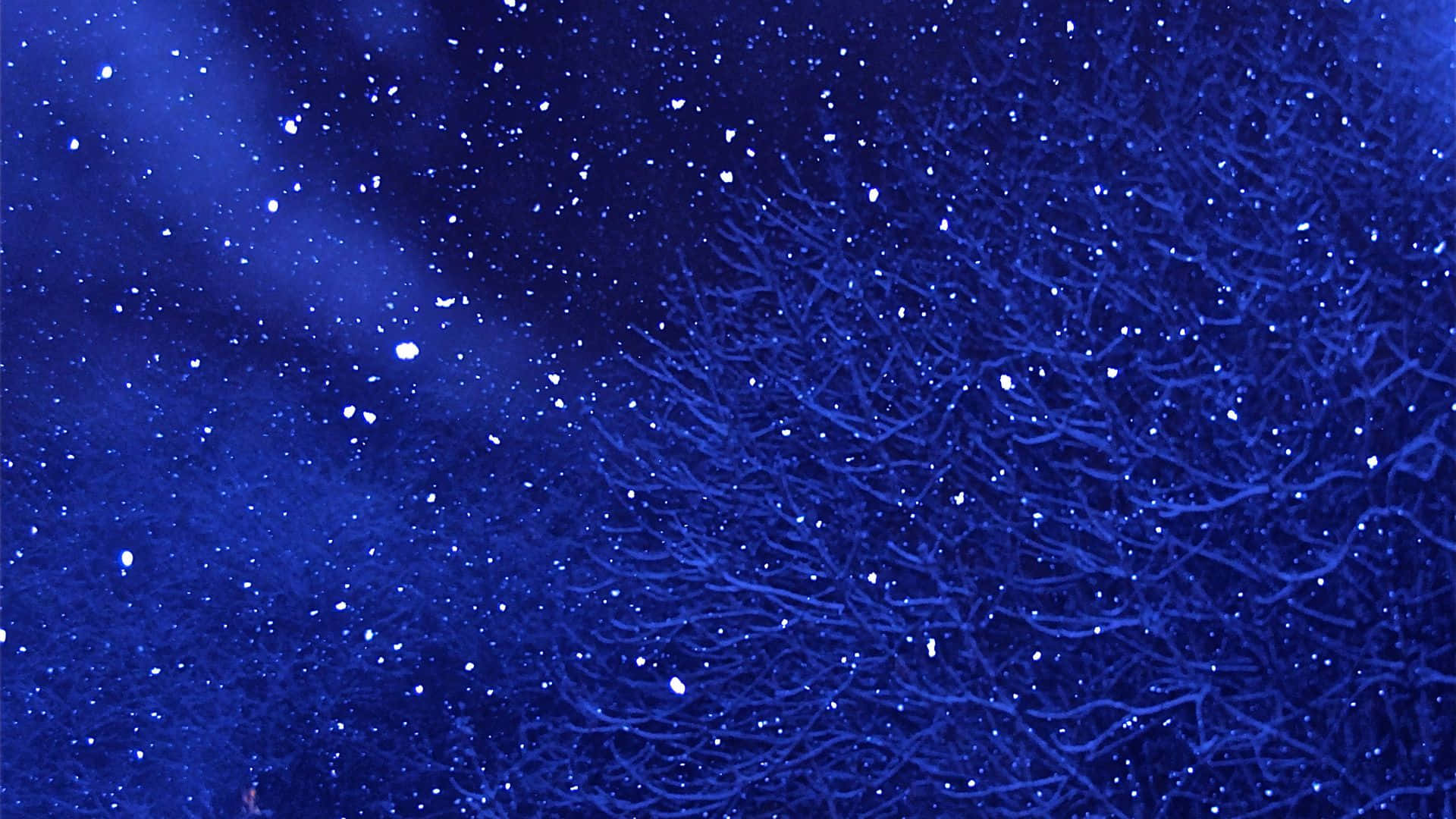 星空動畫 桌布 壁紙 — 深藍色宇宙場景，帶有發光的白色斑點和類似神經網絡或星場的複雜分支圖案。