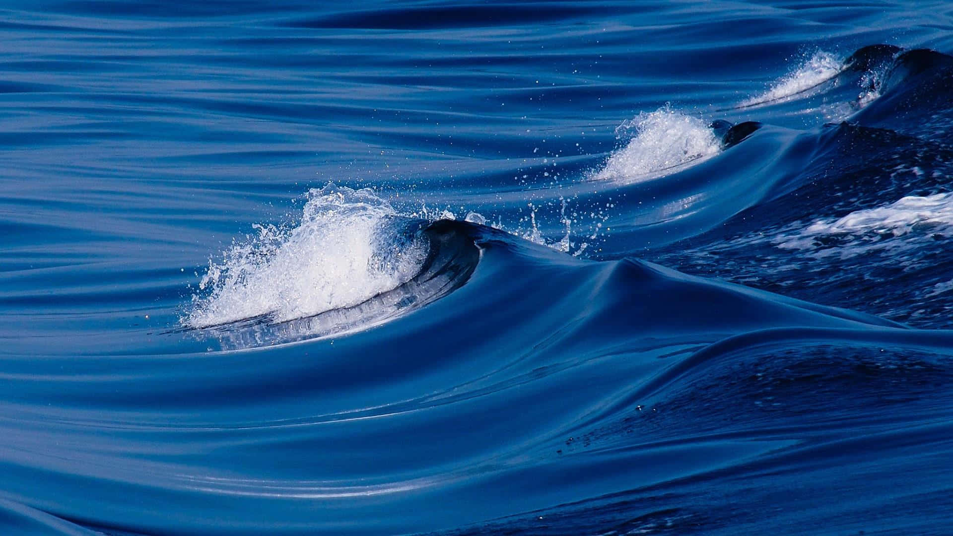 waves 桌布 壁紙 — 深藍色海浪翻騰並破碎成白色泡沫，拍打著陽光照射的海面。