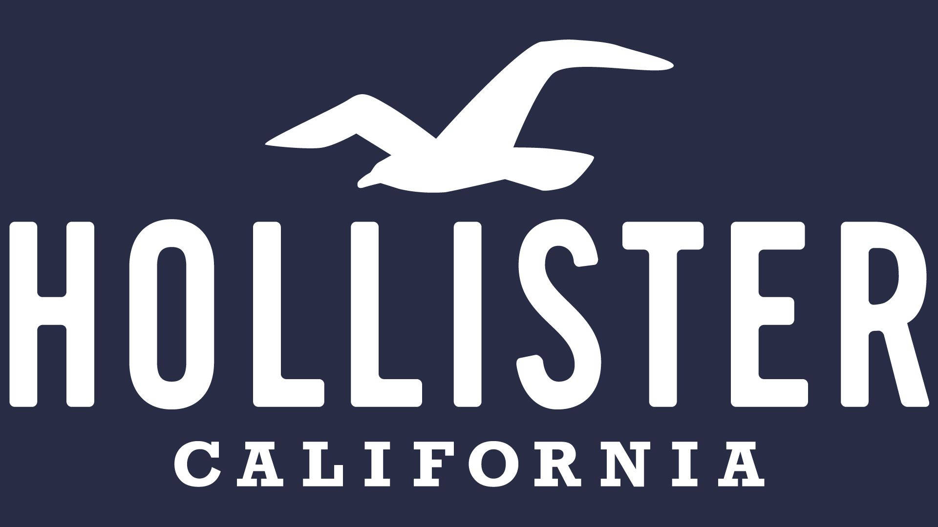 Hollister 桌布 壁紙 — 深藍色背景上帶有海鷗剪影的白色Hollister California標誌。
