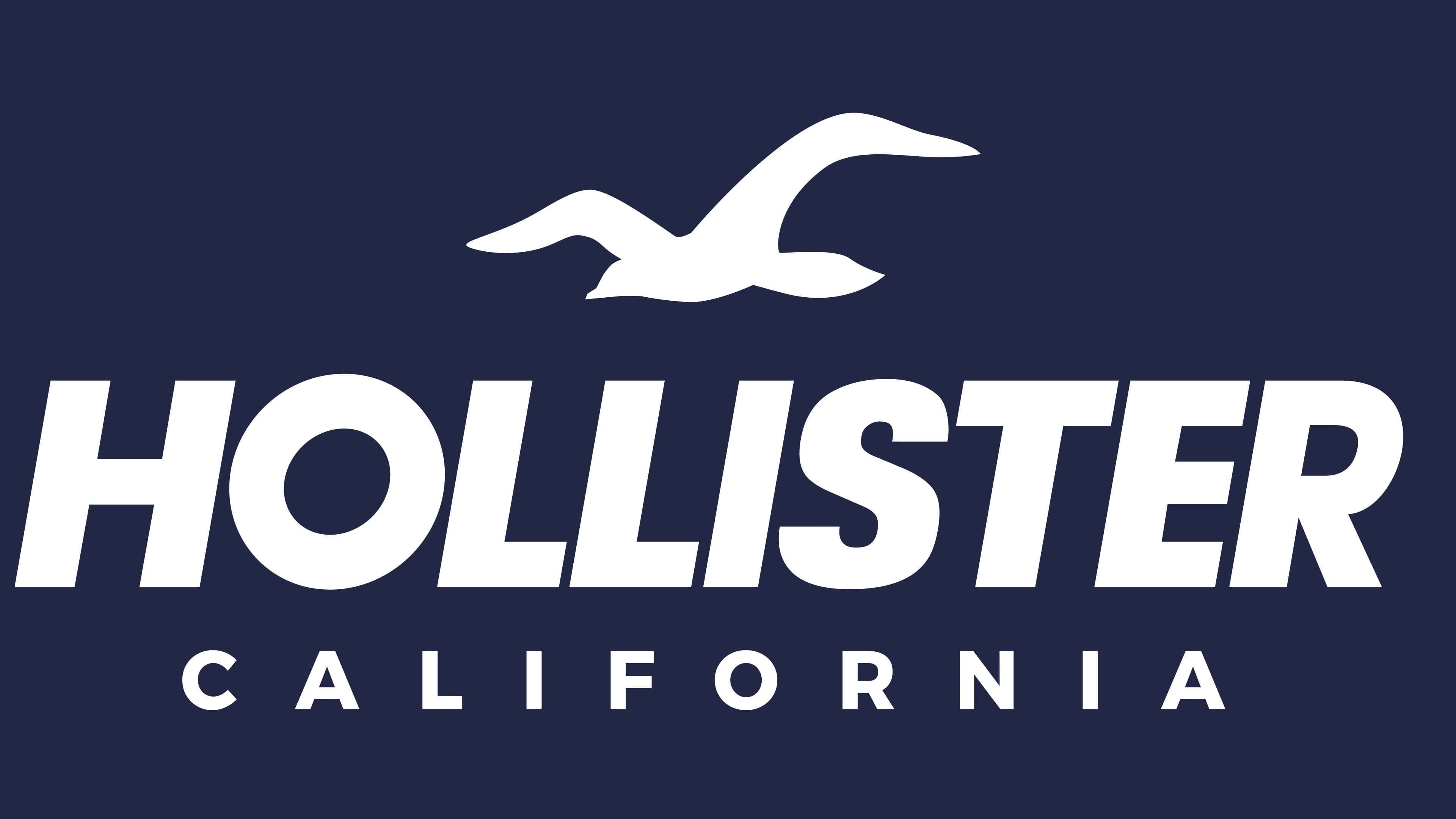 Hollister 桌布 壁紙 — 深藍色背景上的白色 Hollister California 標誌及海鷗剪影。