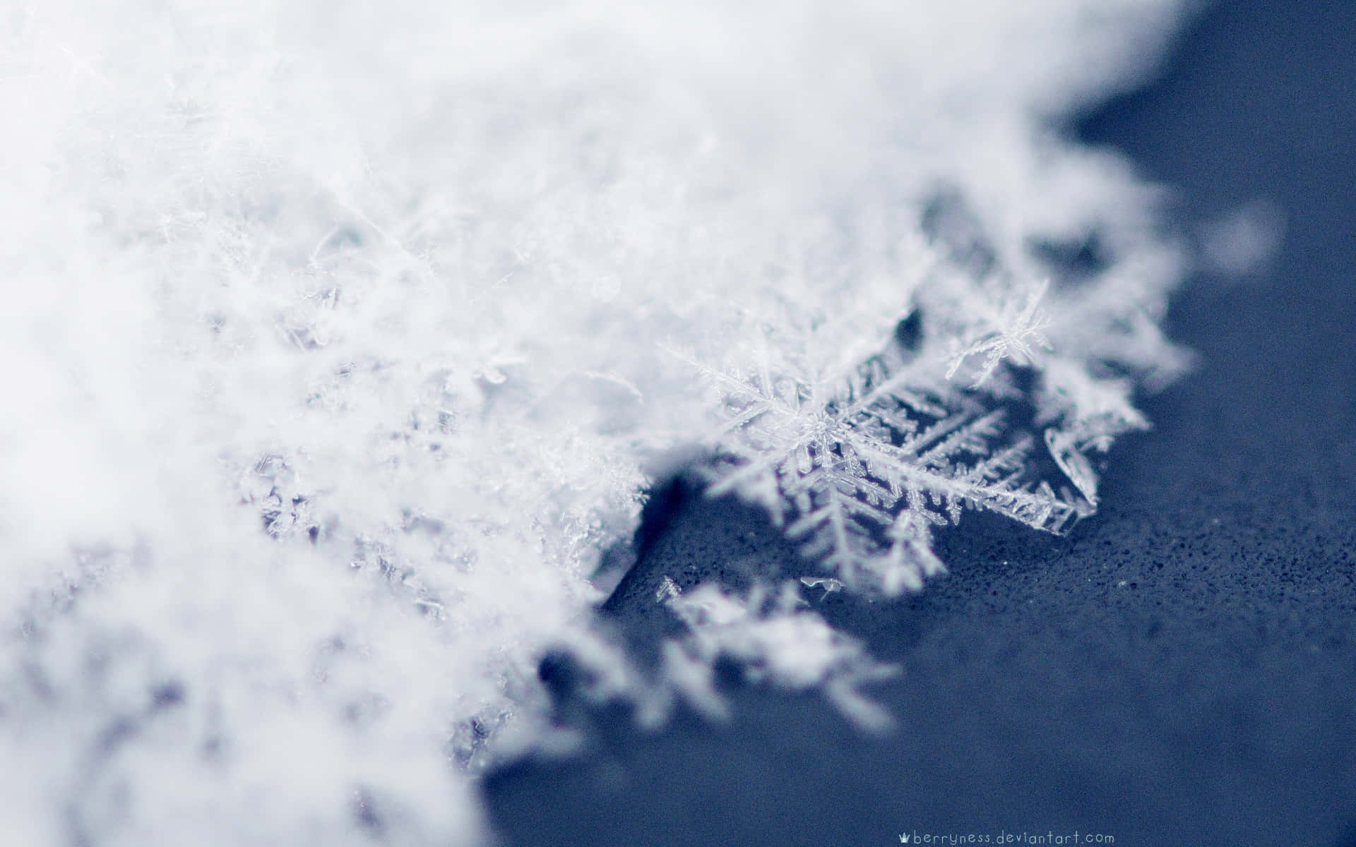 雪花 桌布 壁紙 — 深藍色表面上形成精緻雪花圖案的複雜霜晶特寫。