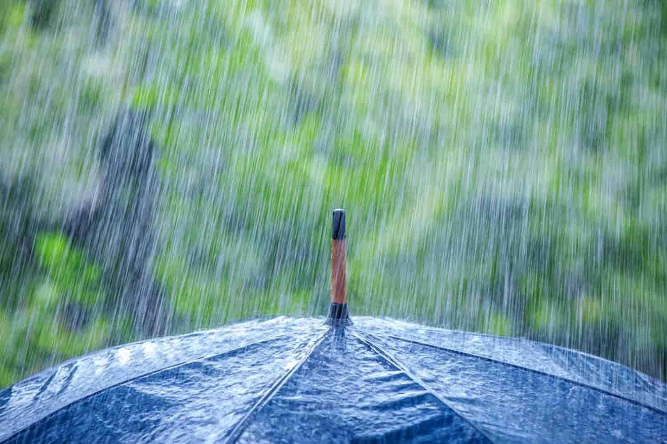下雨 桌布 壁紙 — 深藍色雨傘抵擋著大雨，背景是模糊的綠色樹葉。