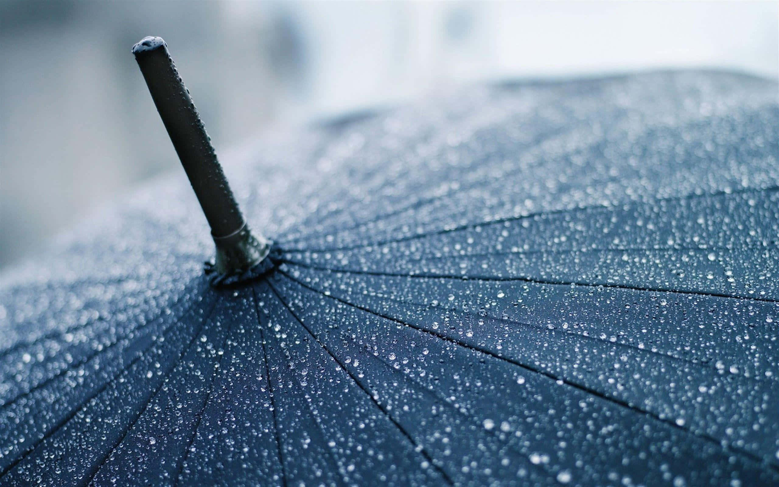 Rain Drops 桌布 壁紙 — 深藍色雨傘的特寫，上面佈滿閃閃發光的雨滴，背景柔和模糊。