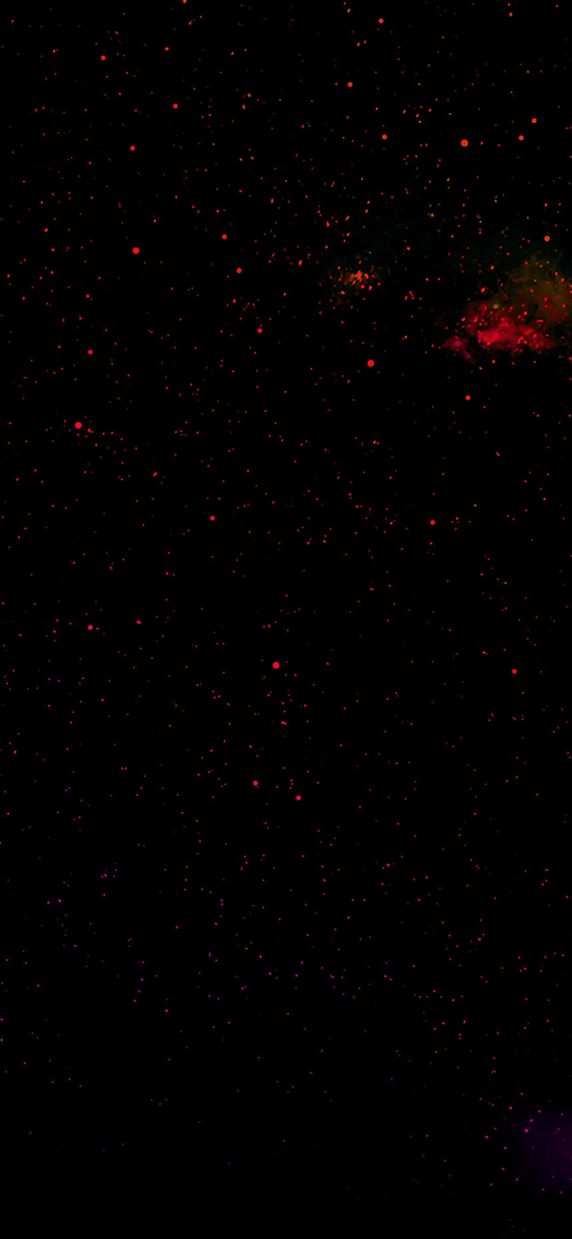Red Galaxy 桌布 壁紙 — 深邃黑色宇宙虛空，點綴著發光的紅色星星，右上角有充滿活力的星雲。
