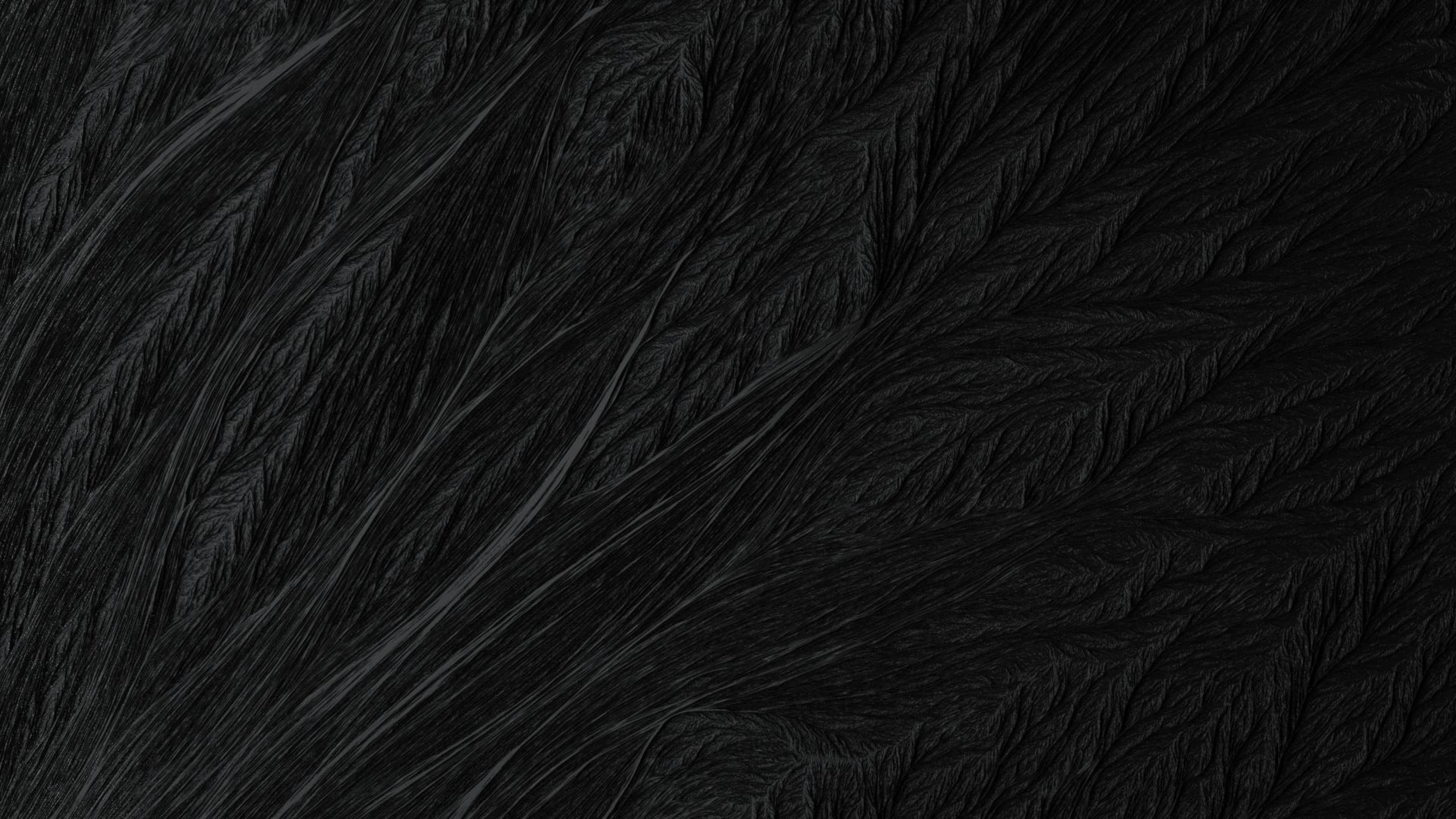 fur 桌布 壁紙 — 深黑色和炭灰色的複雜羽毛狀圖案的深色紋理表面特寫。