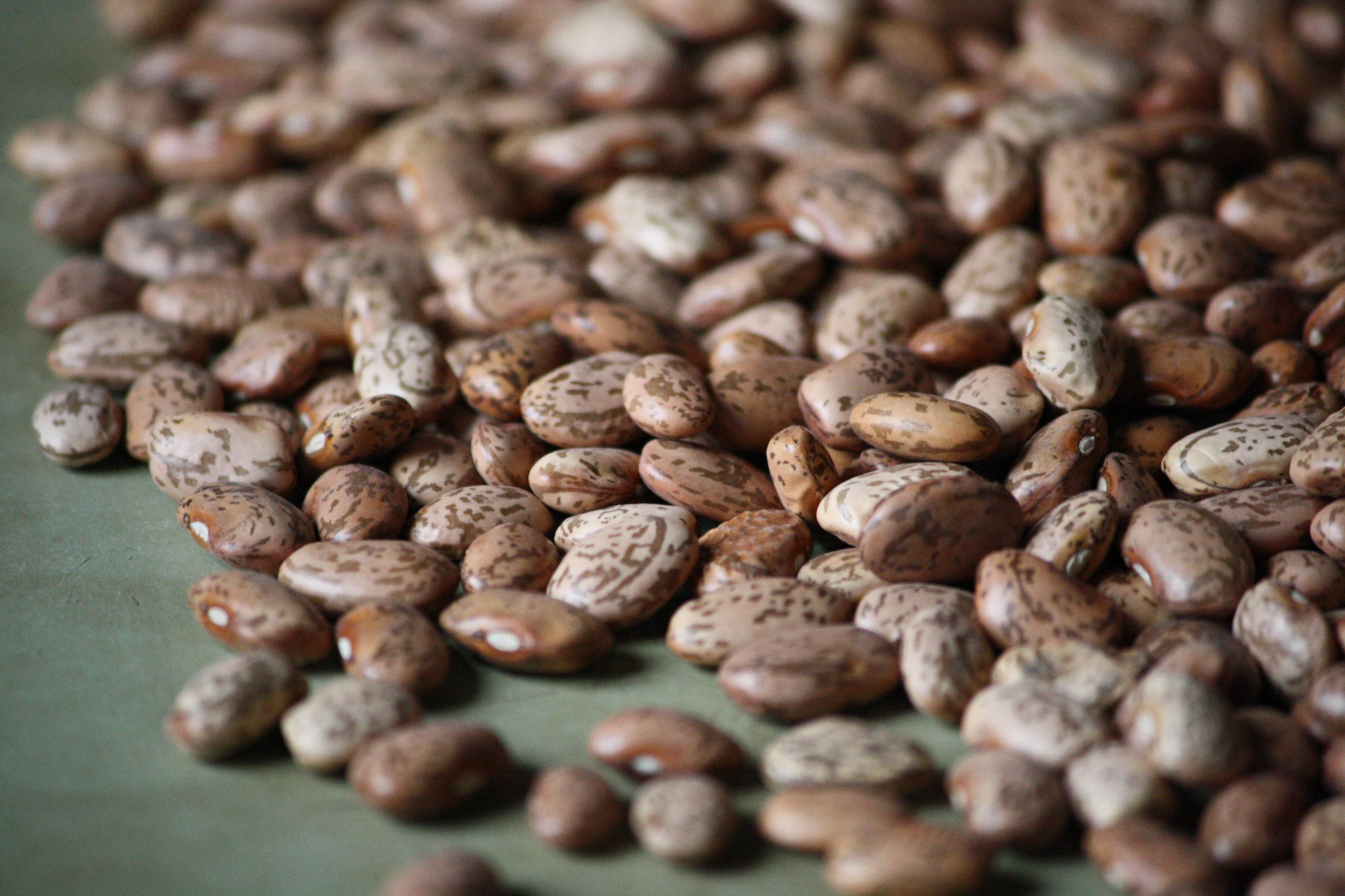 beans 桌布 壁紙 — 淺景深下，散落在柔和綠色表面上的斑點棕色和奶油色豆子的特寫。