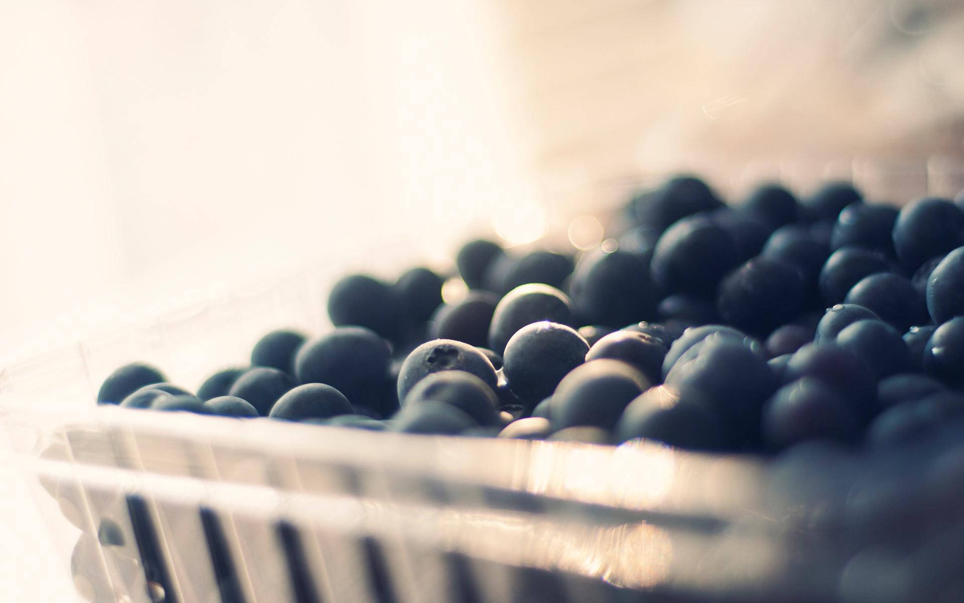 Fruits 桌布 壁紙 — 淺景深捕捉到透明塑膠盒中飽滿的藍莓，沐浴在溫暖的背光中。