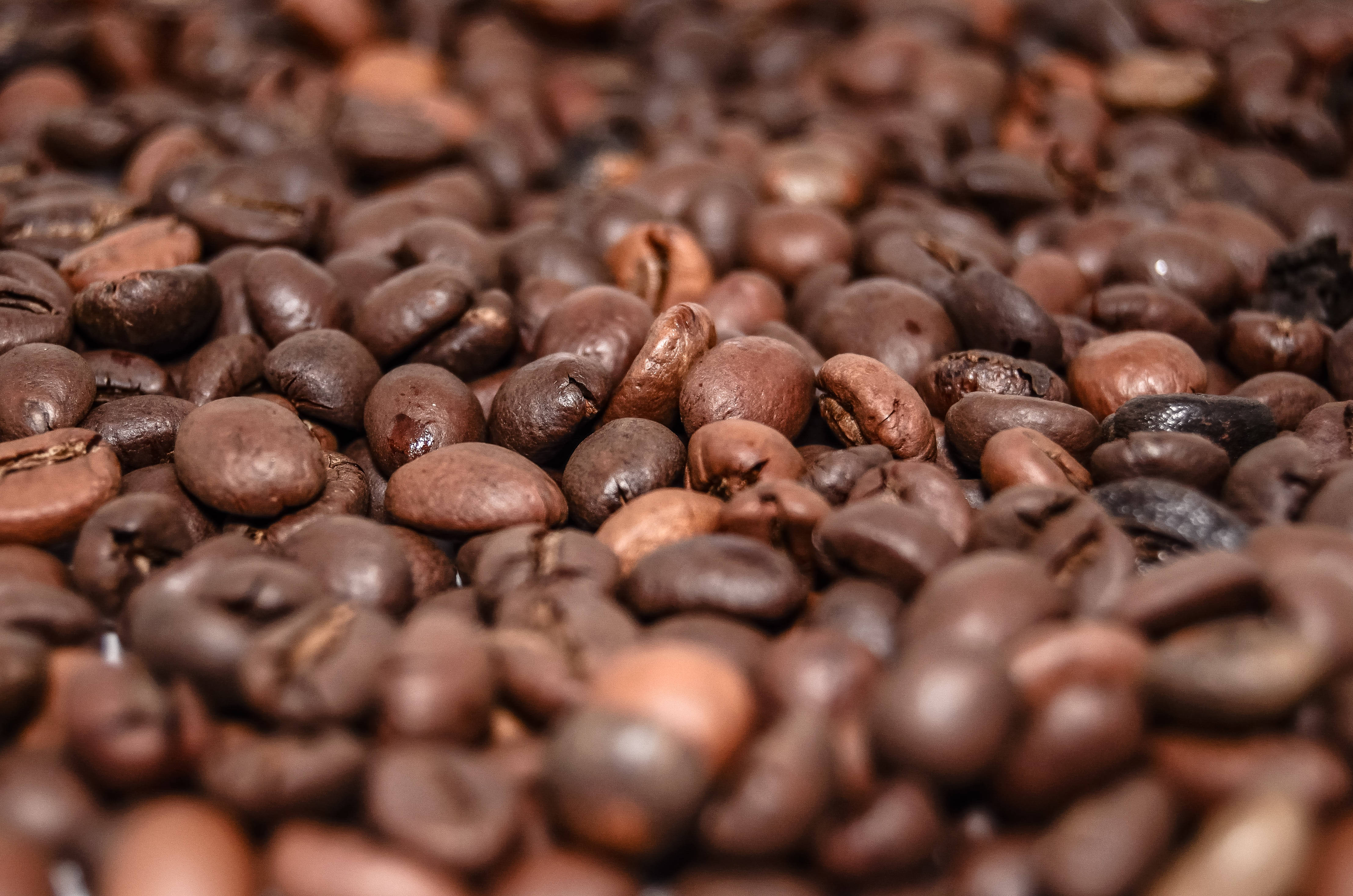 beans 桌布 壁紙 — 淺景深特寫烘焙咖啡豆，呈現豐富的棕色色調和光澤質感。