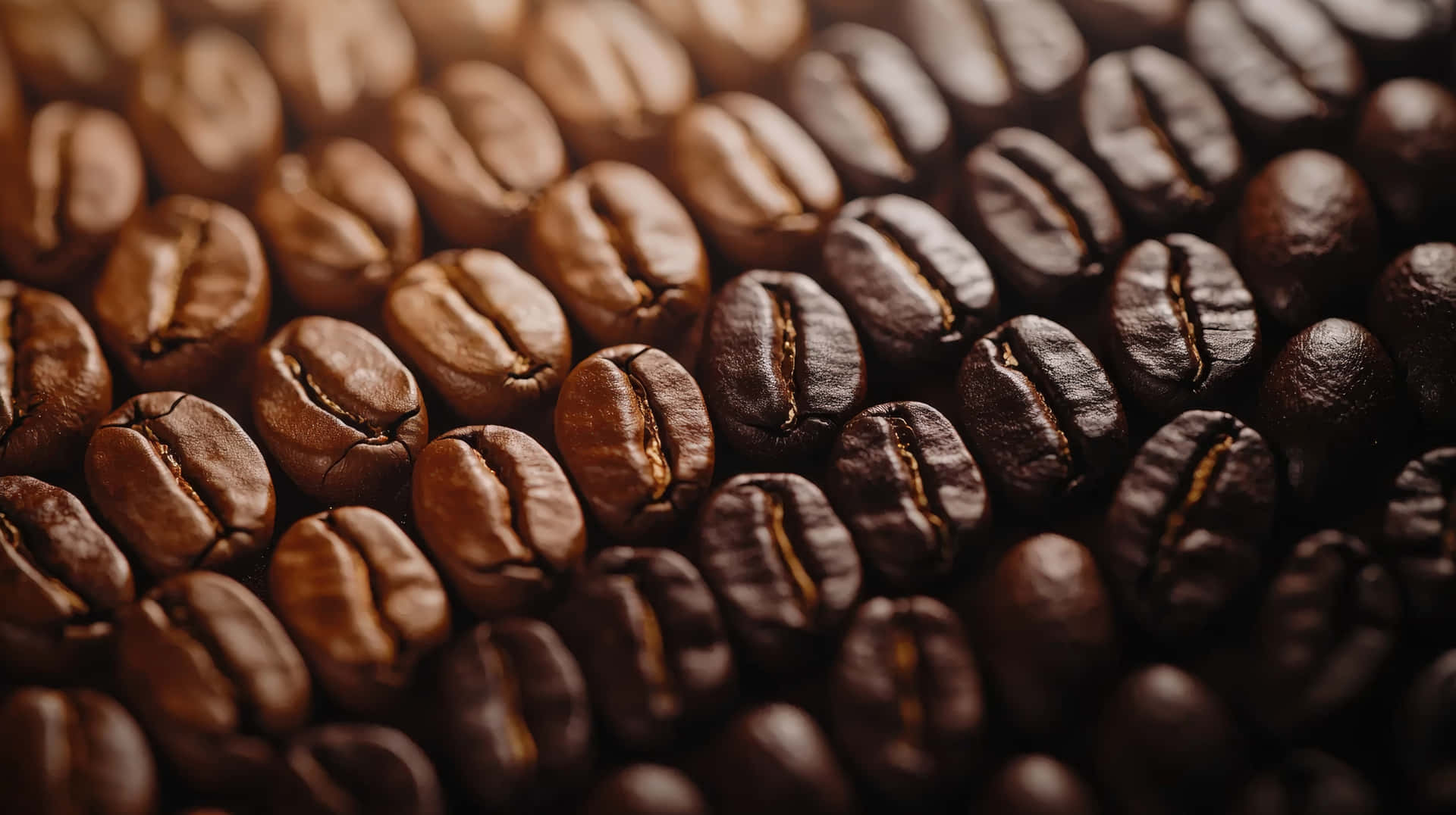 Close-Up of Roasted Coffee Beans in Rows 壁紙 — 淺景深特寫烘焙咖啡豆，呈現豐富的棕色色調和可見的皺紋。