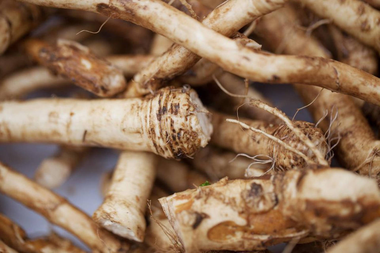 Vegetables 桌布 壁紙 — 淺棕色歐洲防風草根纏繞的特寫，帶有纖維質地和泥土細節。