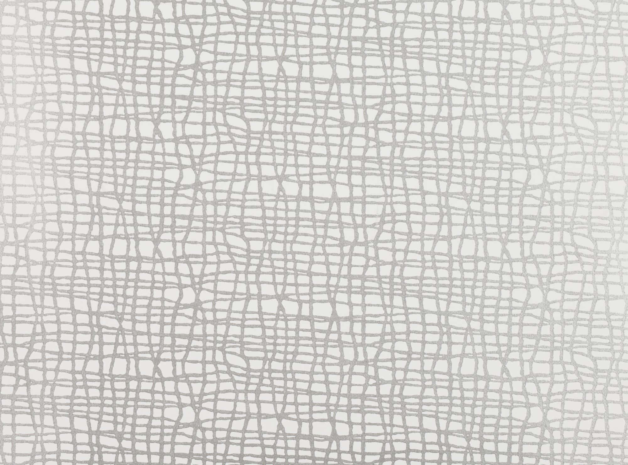 grid 桌布 壁紙 — 淺灰色壁紙的特寫，帶有微妙的裂紋網狀紋理圖案。
