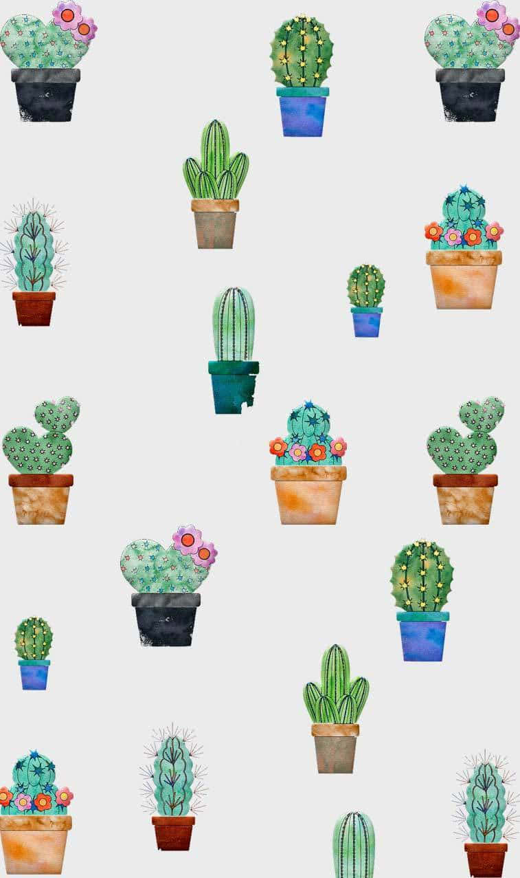 Cute Cactus 桌布 壁紙 — 淺灰色背景上，各種盆栽仙人掌與色彩繽紛花朵的水彩圖案。