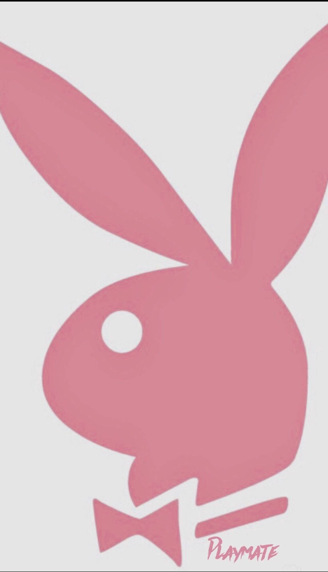 Playboy Aesthetic 桌布 壁紙 — 淺灰色背景上帶有蝴蝶結和「PLAYMATE」文字的簡約粉紅色Playboy兔子標誌。