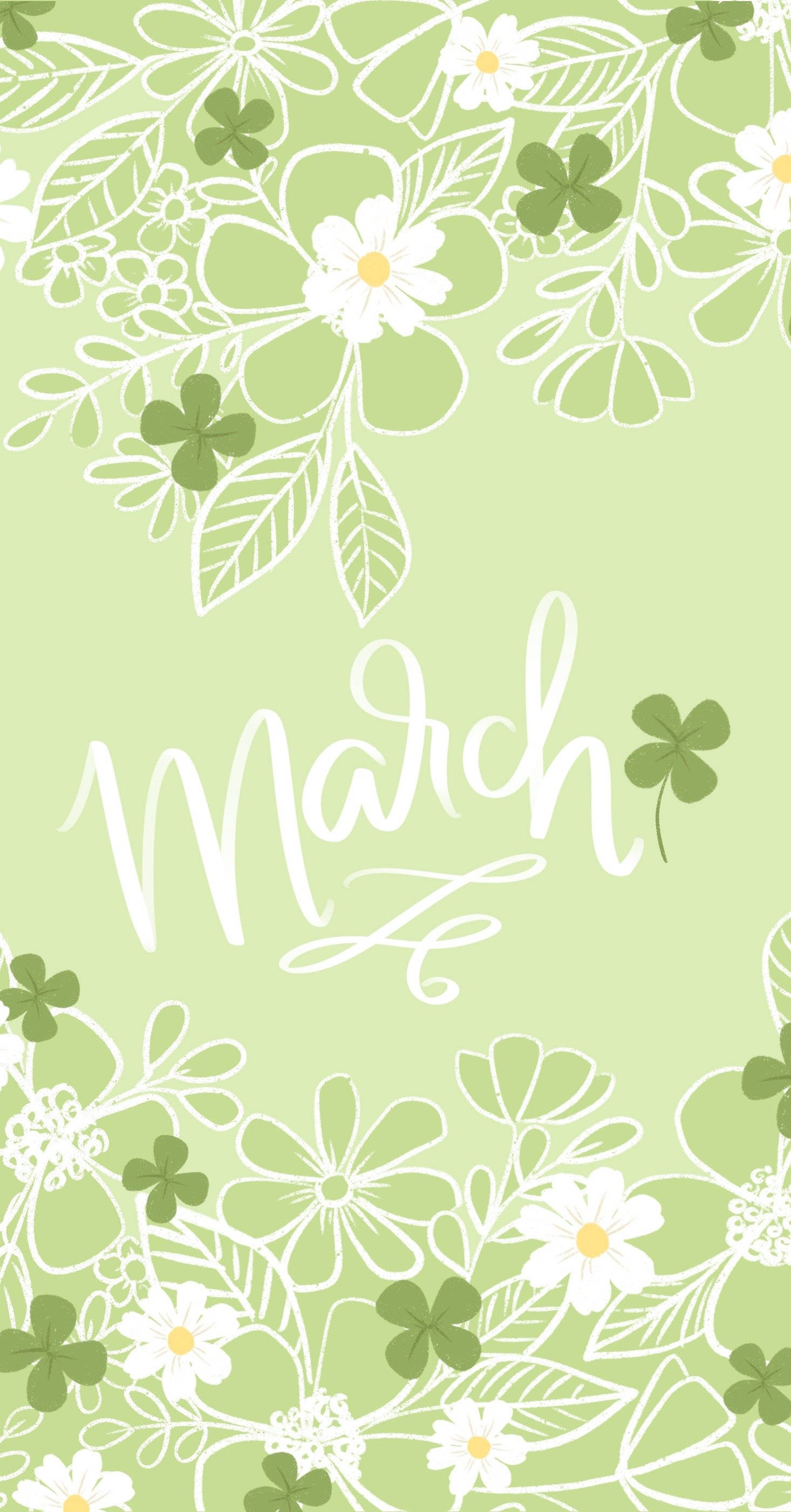 March 桌布 壁紙 — 淺綠色壁紙，帶有白色花卉輪廓和綠色三葉草，以優雅草書框住「March」一詞。