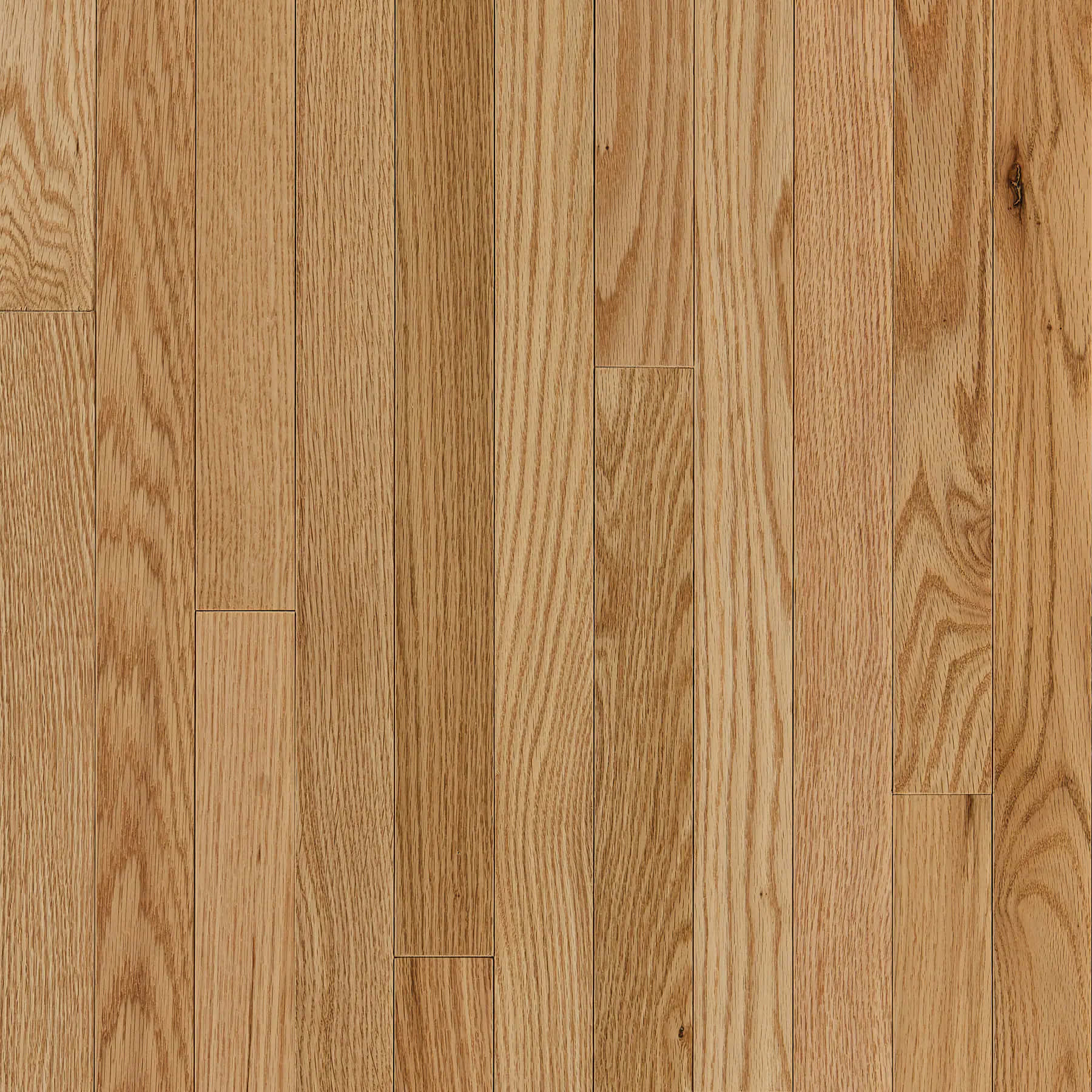 Wood Flooring 桌布 壁紙 — 淺色橡木硬木地板的特寫，帶有天然木紋圖案和溫暖的米色色調。