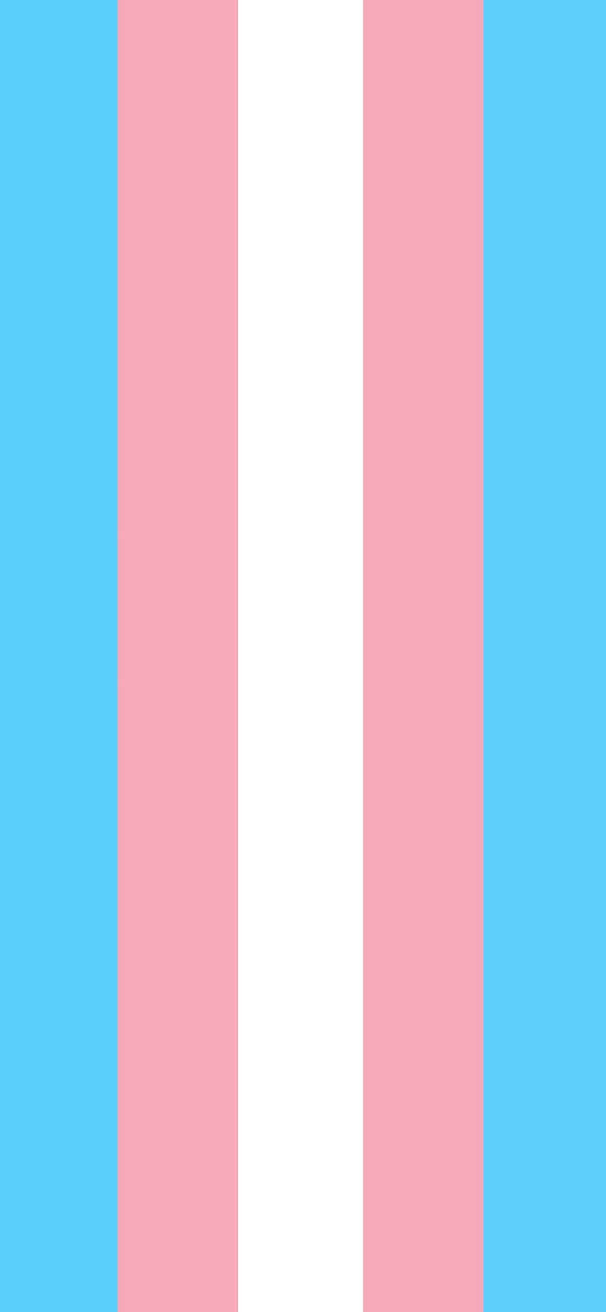 Trans Flag 桌布 壁紙 — 淺藍色、粉紅色和白色的垂直條紋以簡潔的圖形設計形成跨性別旗幟。
