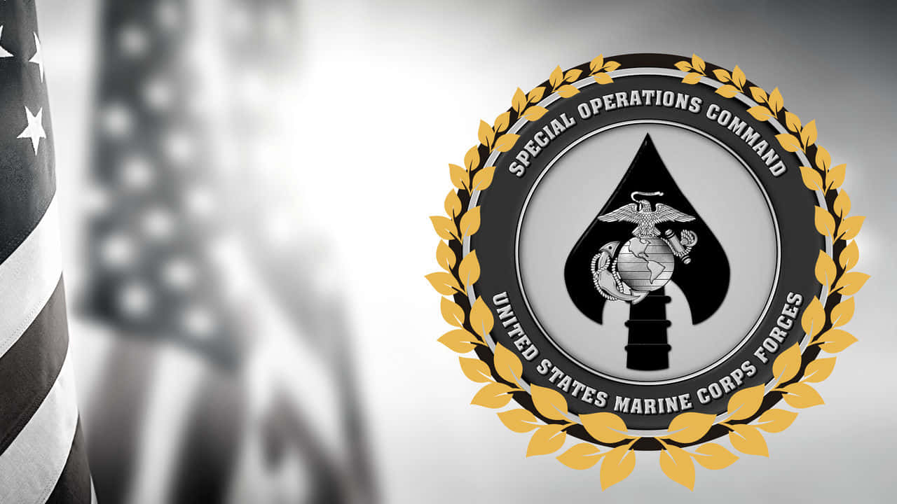 Usmc 桌布 壁紙 — 清晰對焦於美國海軍陸戰隊特種作戰司令部徽章，帶有金色月桂花環，背景是模糊的美國國旗。