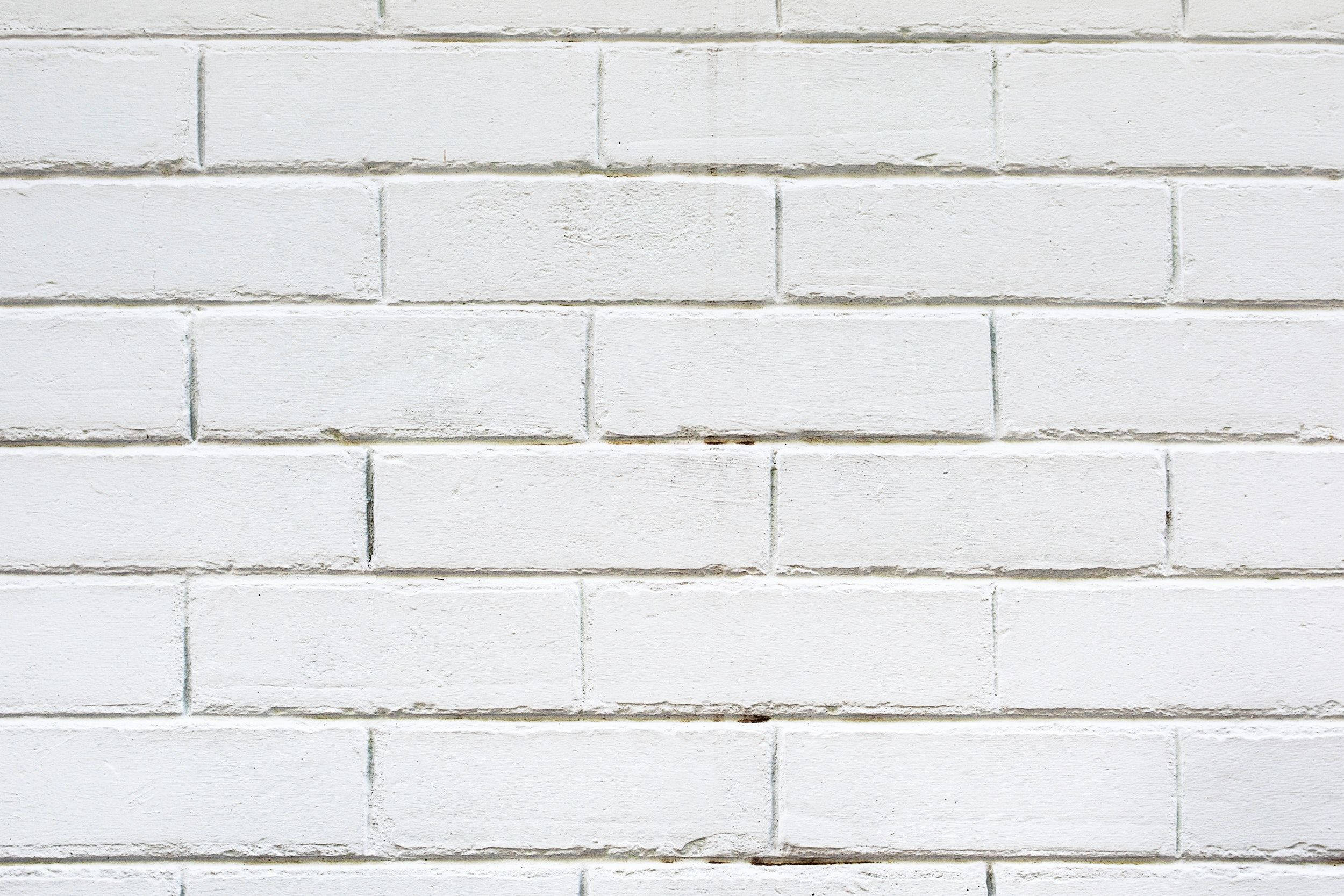 White Brick 桌布 壁紙 — 清潔白色油漆磚牆的特寫，顯示細微紋理和砂漿線。