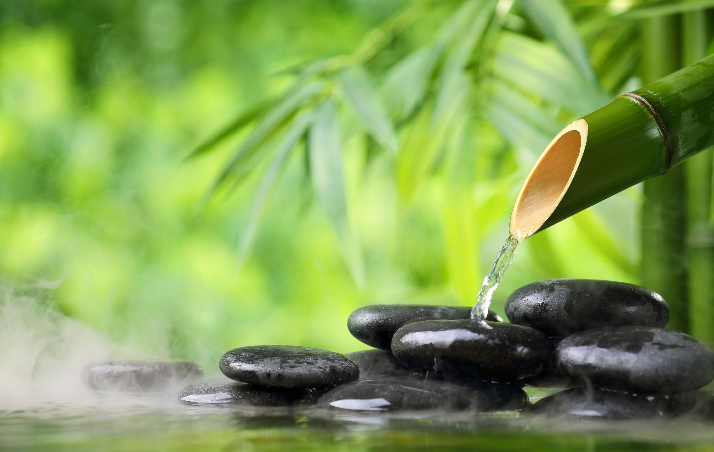 禪 桌布 壁紙 — 清澈的水從竹管流到光滑的黑色石頭上，周圍是茂密的綠色樹葉和薄霧。