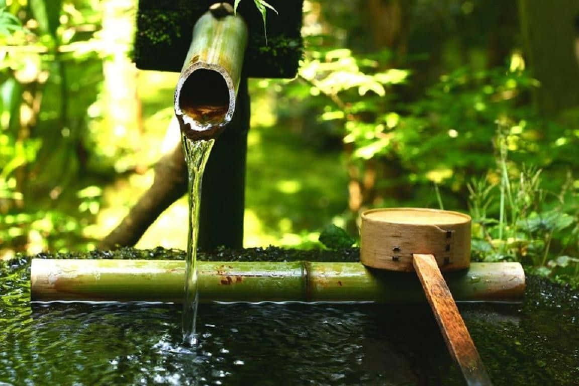 Relaxation 桌布 壁紙 — 清澈的水從長滿青苔的竹管流入一個被茂密綠色森林環繞的石盆中。