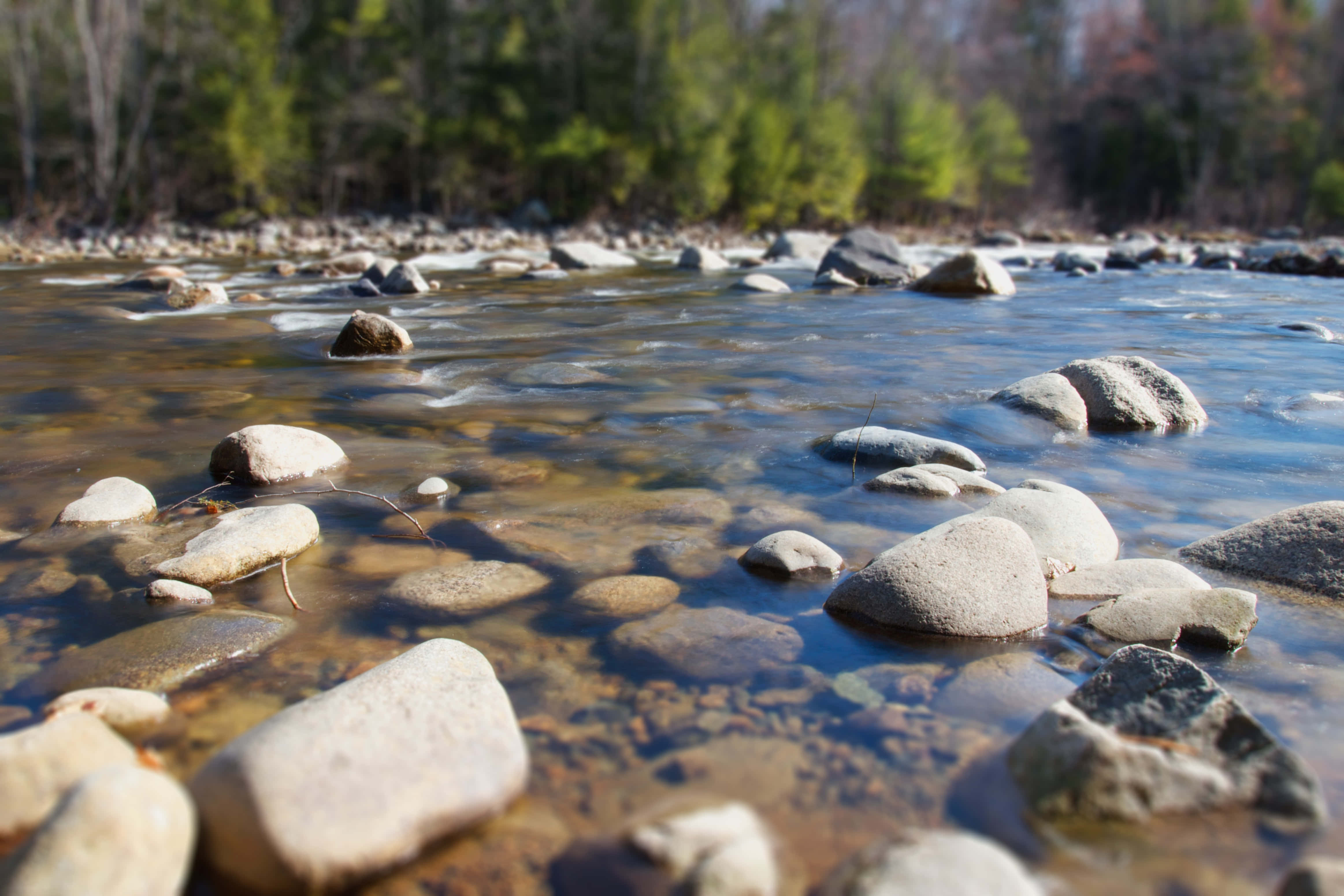 river 桌布 壁紙 — 清澈的淺溪在光滑的圓石上緩緩流過，後方樹木繁茂的河岸呈現柔焦效果。