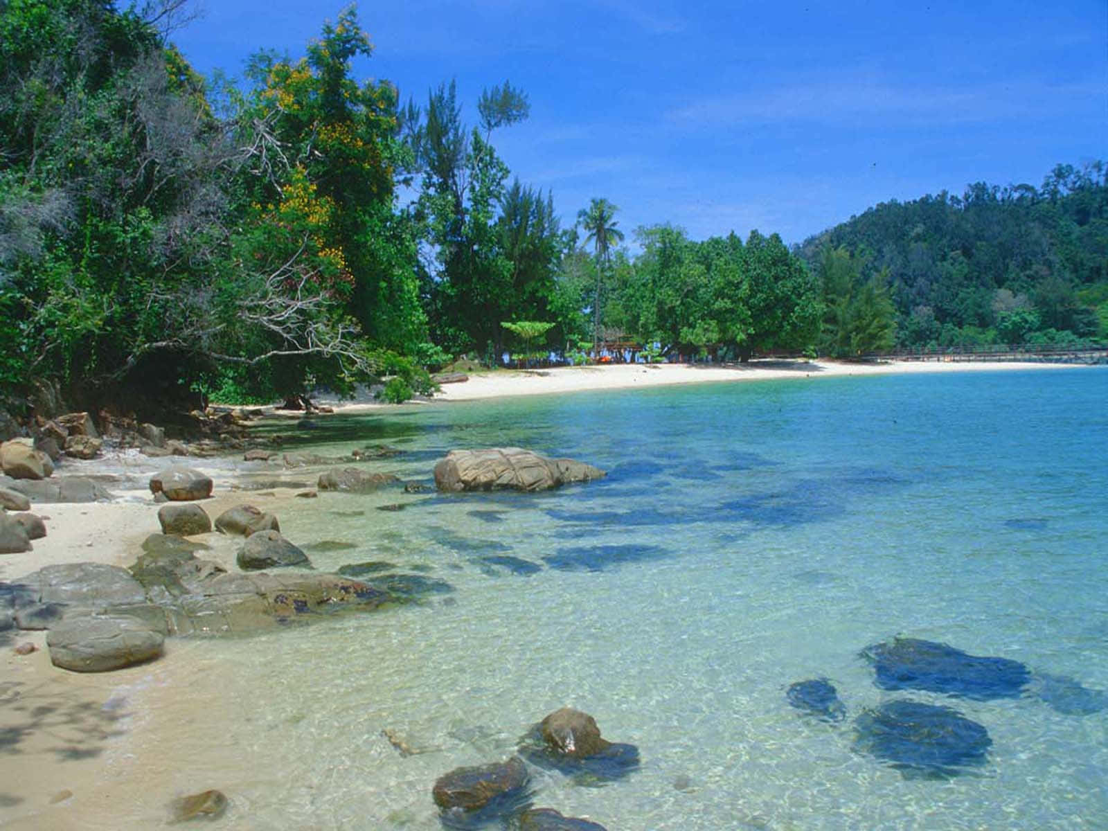 Tropical Beach 桌布 壁紙 — 清澈的碧綠海水拍打著沙灘，沙灘兩旁長滿茂密的綠樹，散落著岩石，頭頂是明亮的藍天。