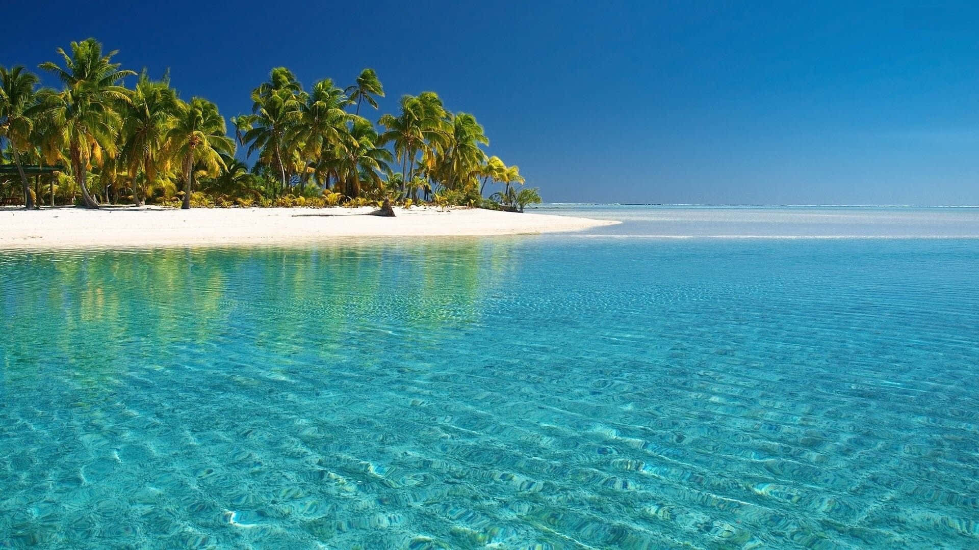 Tropical Beach 桌布 壁紙 — 清澈的碧綠海水拍打著純淨的白色沙灘，沙灘上棕櫚樹搖曳，上方是湛藍的天空。