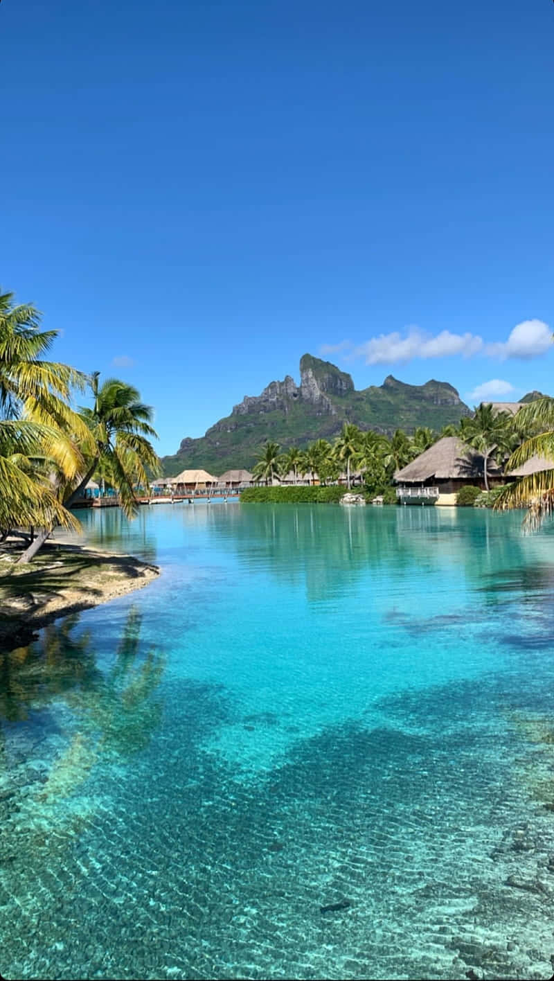 Bora Bora 桌布 壁紙 — 清澈的綠松石潟湖，棕櫚樹環繞的度假村平房，以及明亮藍天下戲劇性的山脈背景。
