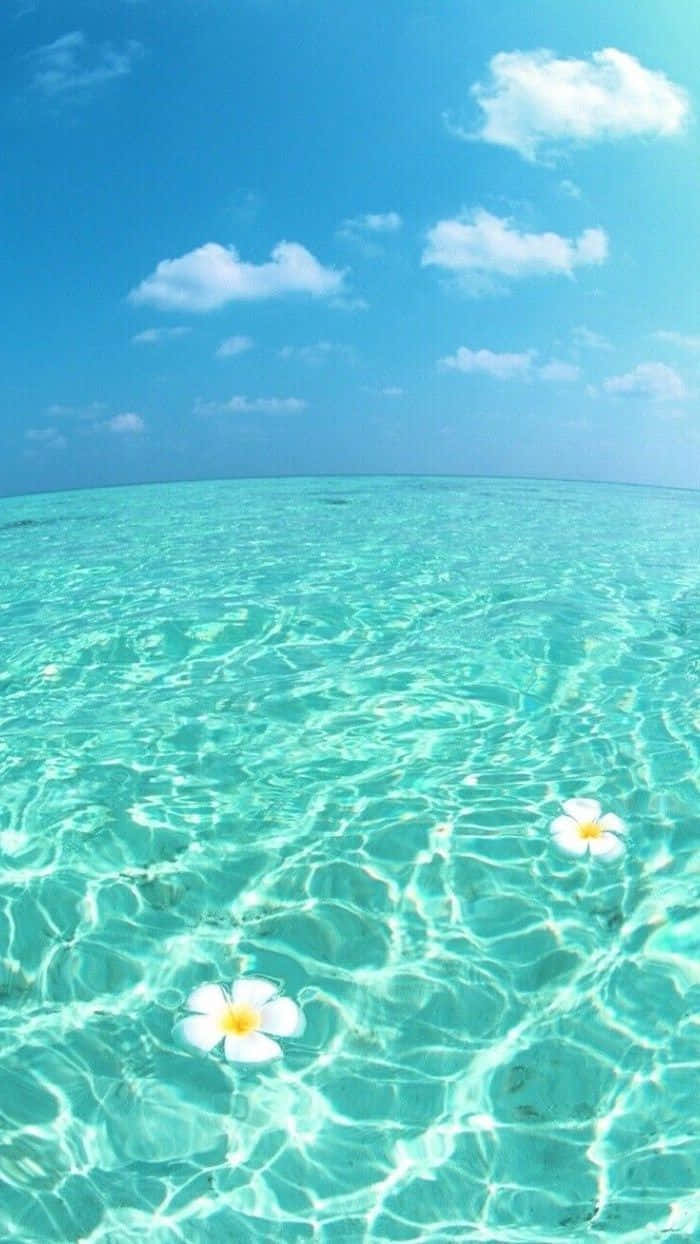 Cute Beach iPhone 桌布 壁紙 — 清澈的藍綠色海水，白色雞蛋花漂浮在明亮的藍天和蓬鬆的雲朵下。