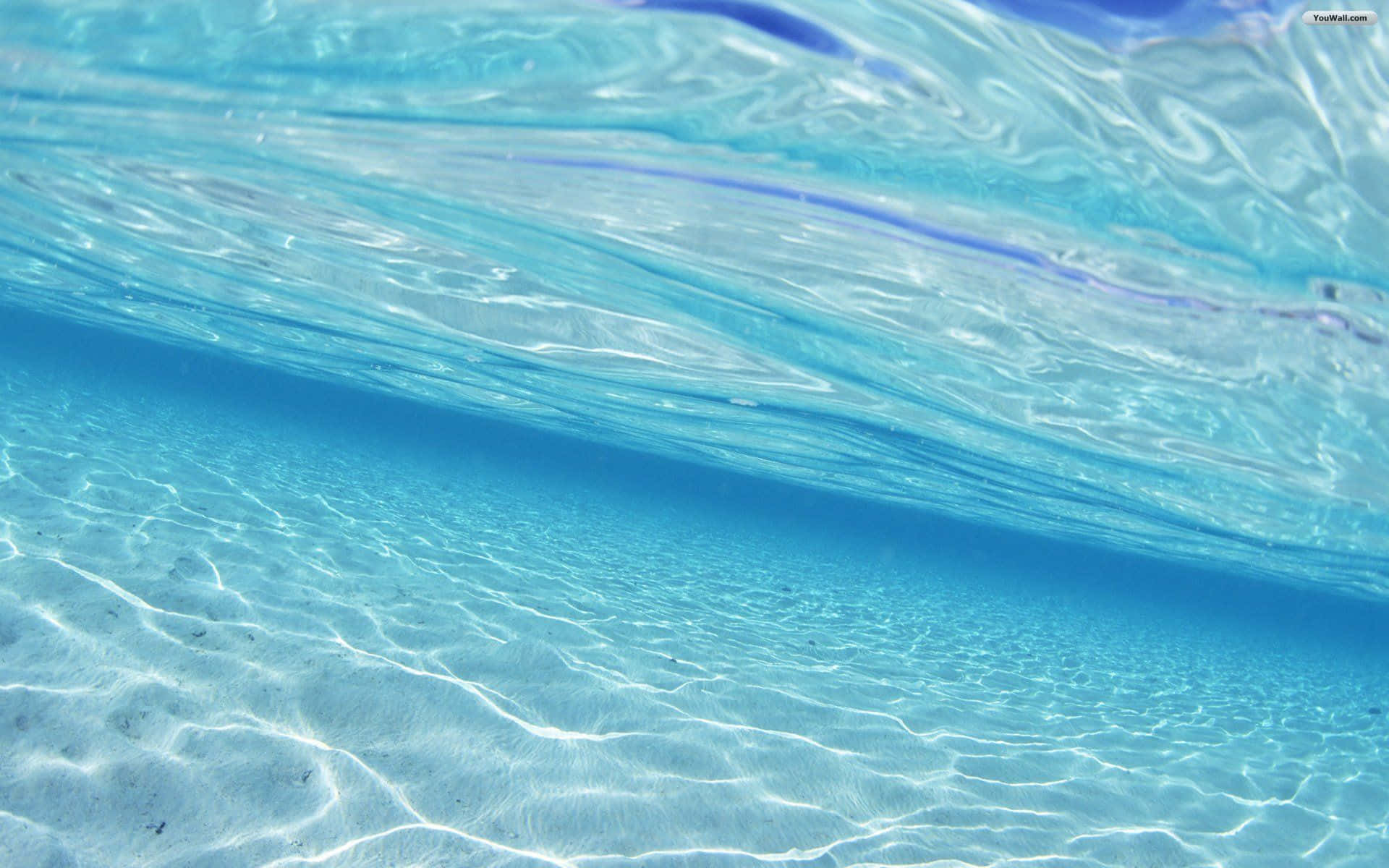 水 桌布 壁紙 — 清澈碧綠海水的水底景觀，陽光圖案在沙底上舞動。