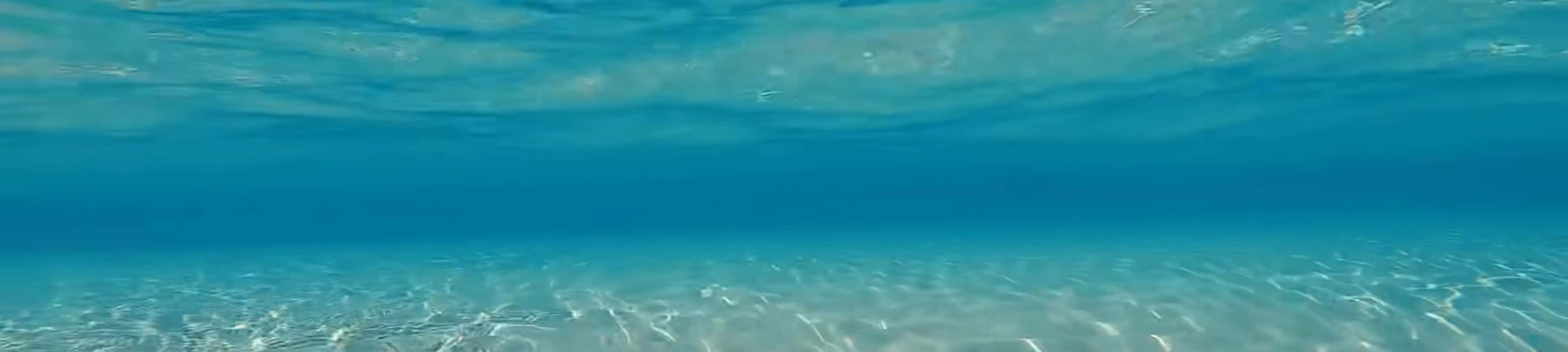 4K 自然 桌布 壁紙 — 清澈碧綠海水的海底景觀，陽光穿過水面照射在沙質海底上。