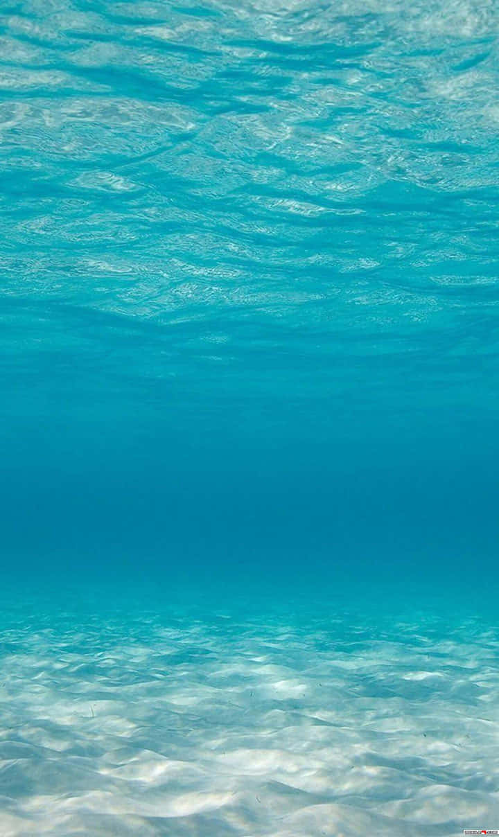 720x1208 桌布 壁紙 — 清澈碧綠海洋的水底景觀，水面泛起漣漪，陽光照射在沙質海底。