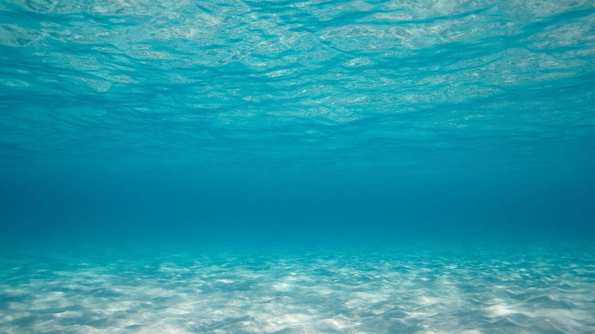 桌布 壁紙 — 清澈碧綠海洋的水底景觀，波光粼粼的海面與沙底沐浴在陽光下。