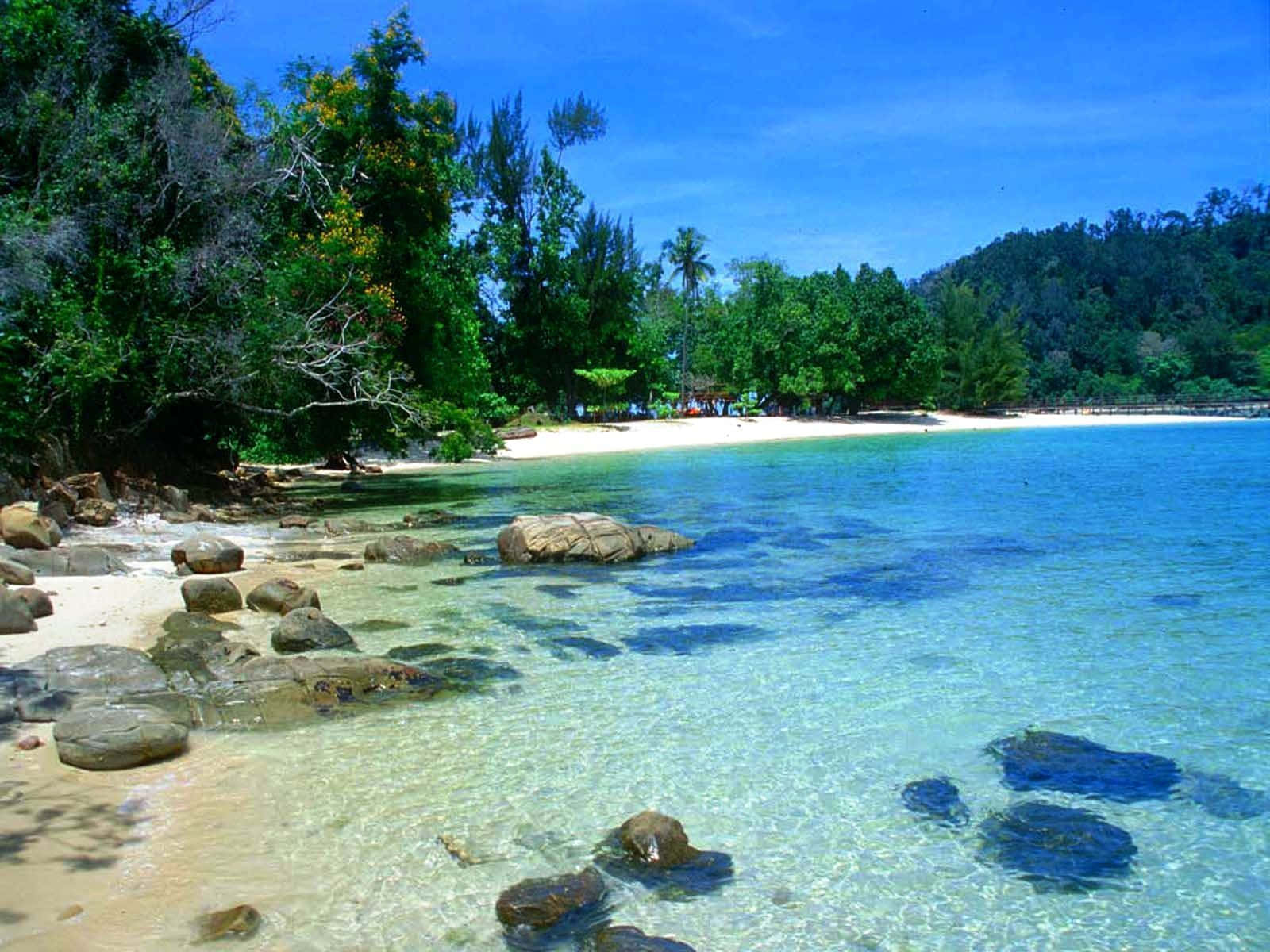 Beach Scene 桌布 壁紙 — 清澈碧綠的海水拍打著沙灘，沙灘兩旁長滿茂密的綠樹，散落著岩石，頭頂是明亮的藍天。