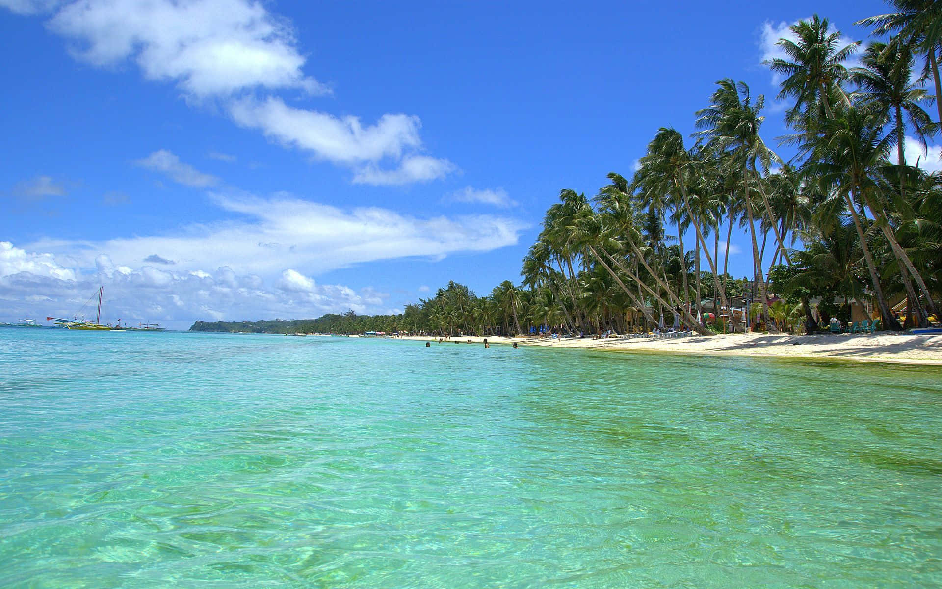 Tropical Beach 桌布 壁紙 — 清澈碧綠的海水拍打著白色沙灘，沙灘上棕櫚樹搖曳，天空湛藍。