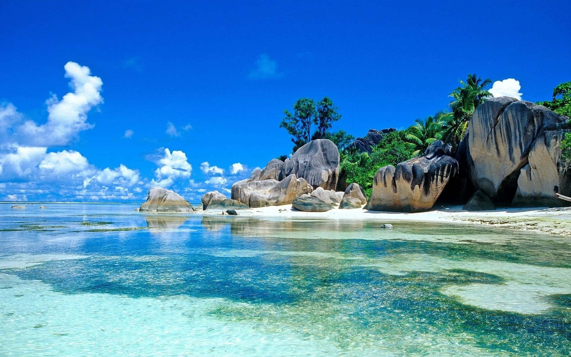 Tropical 桌布 壁紙 — 清澈碧綠的海水拍打著白色沙灘，沙灘四周環繞著巨大的花崗岩巨石和茂密的綠色棕櫚樹，上方是湛藍的天空和蓬鬆的白雲。