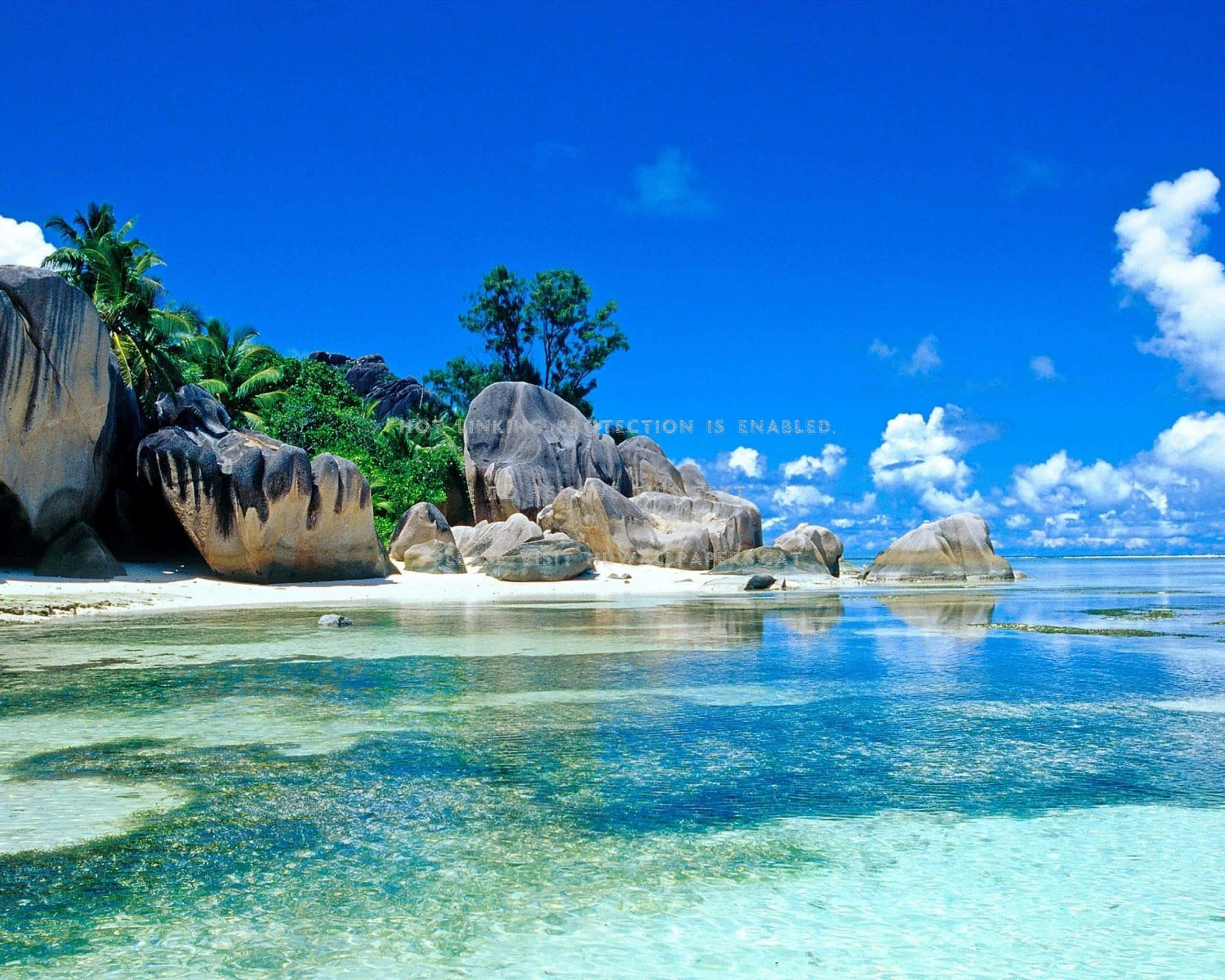 Seychelles Beach 桌布 壁紙 — 清澈碧綠的海水拍打著白色沙灘，沙灘四周環繞著巨大的花崗岩巨石和茂密的綠色棕櫚樹，上方是湛藍的天空。
